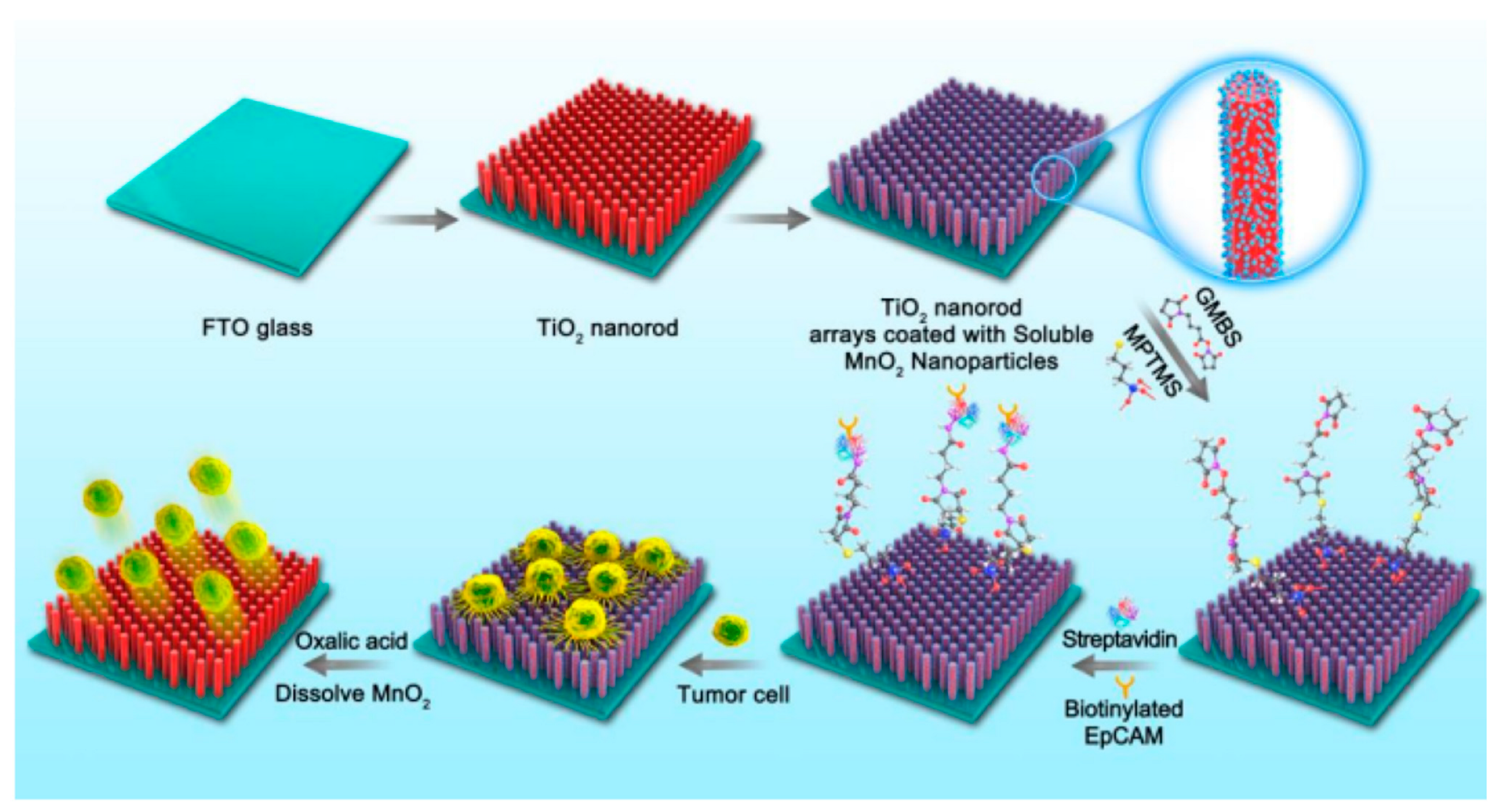 Molecules 27 03881 g005 Molecules 27 03881 g005