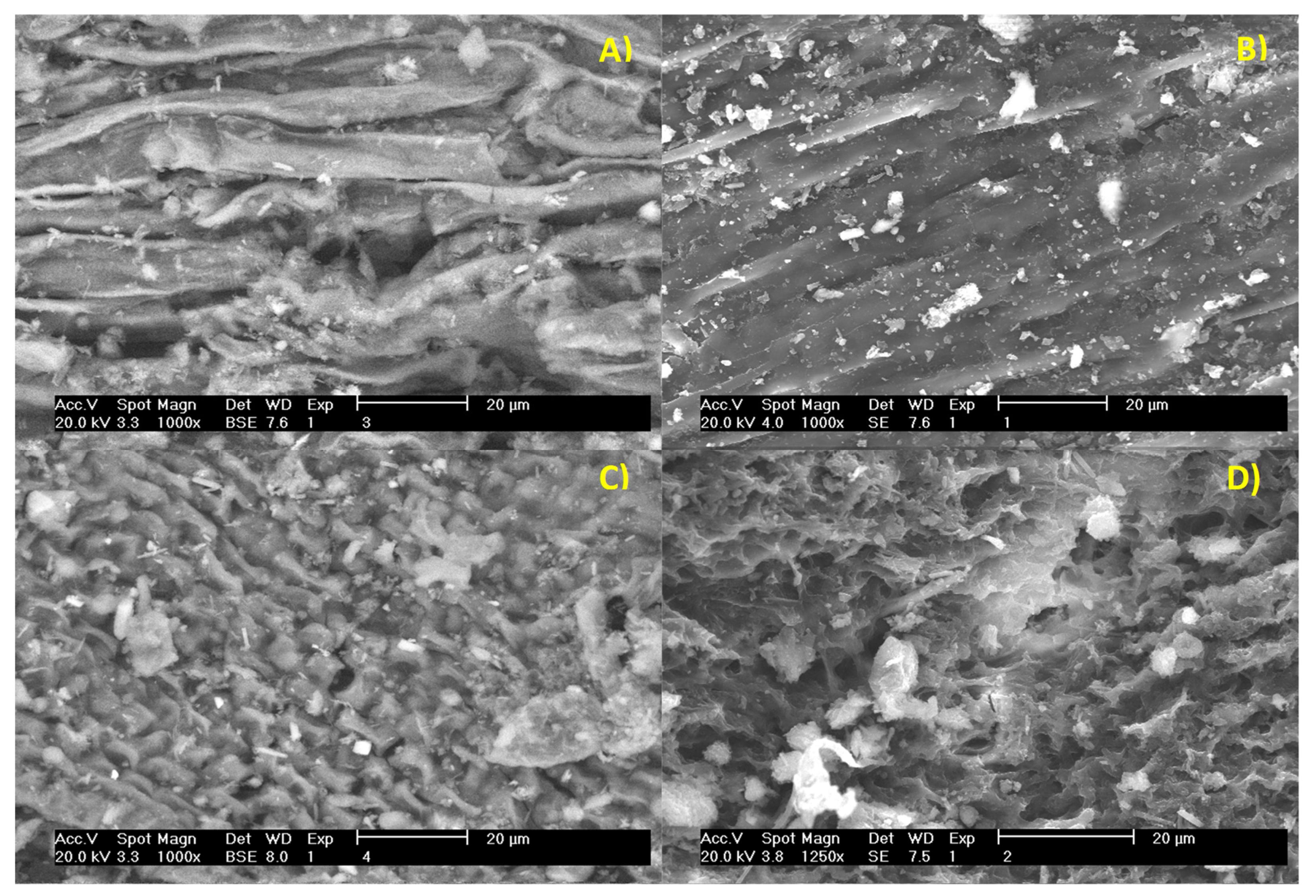 Molecules 27 03887 g007 Molecules 27 03887 g007