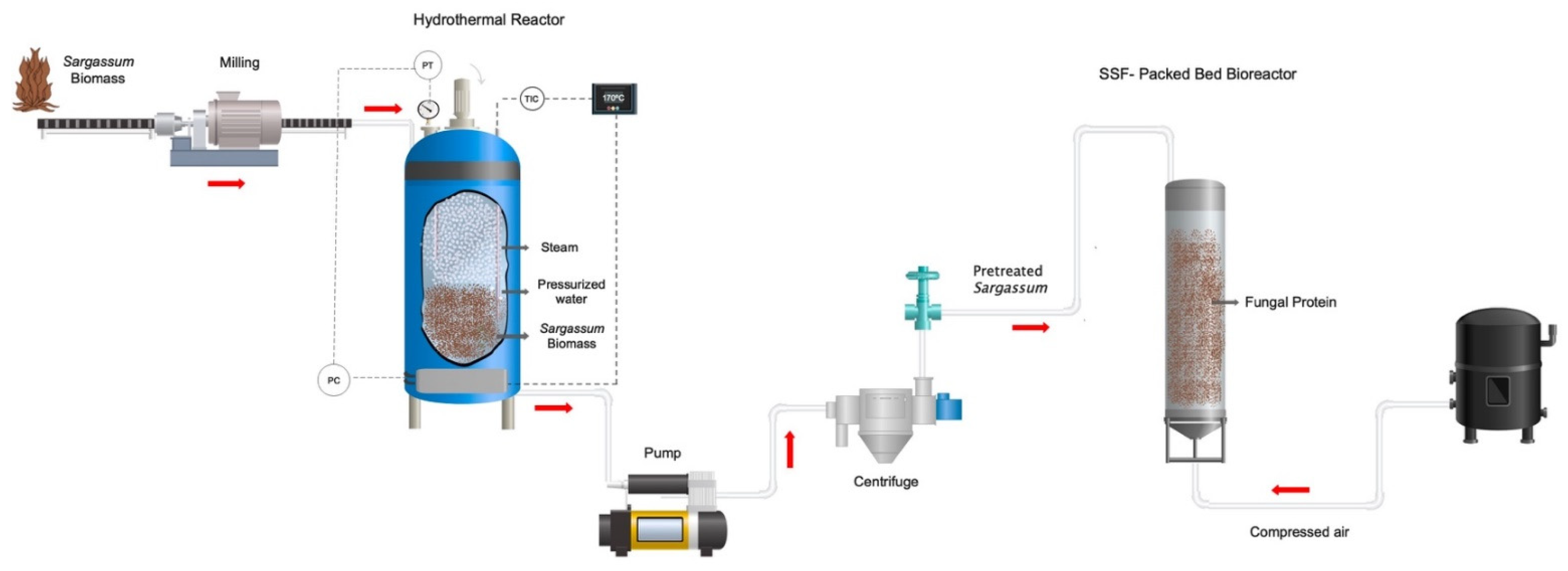 Molecules 27 03887 g008 Molecules 27 03887 g008