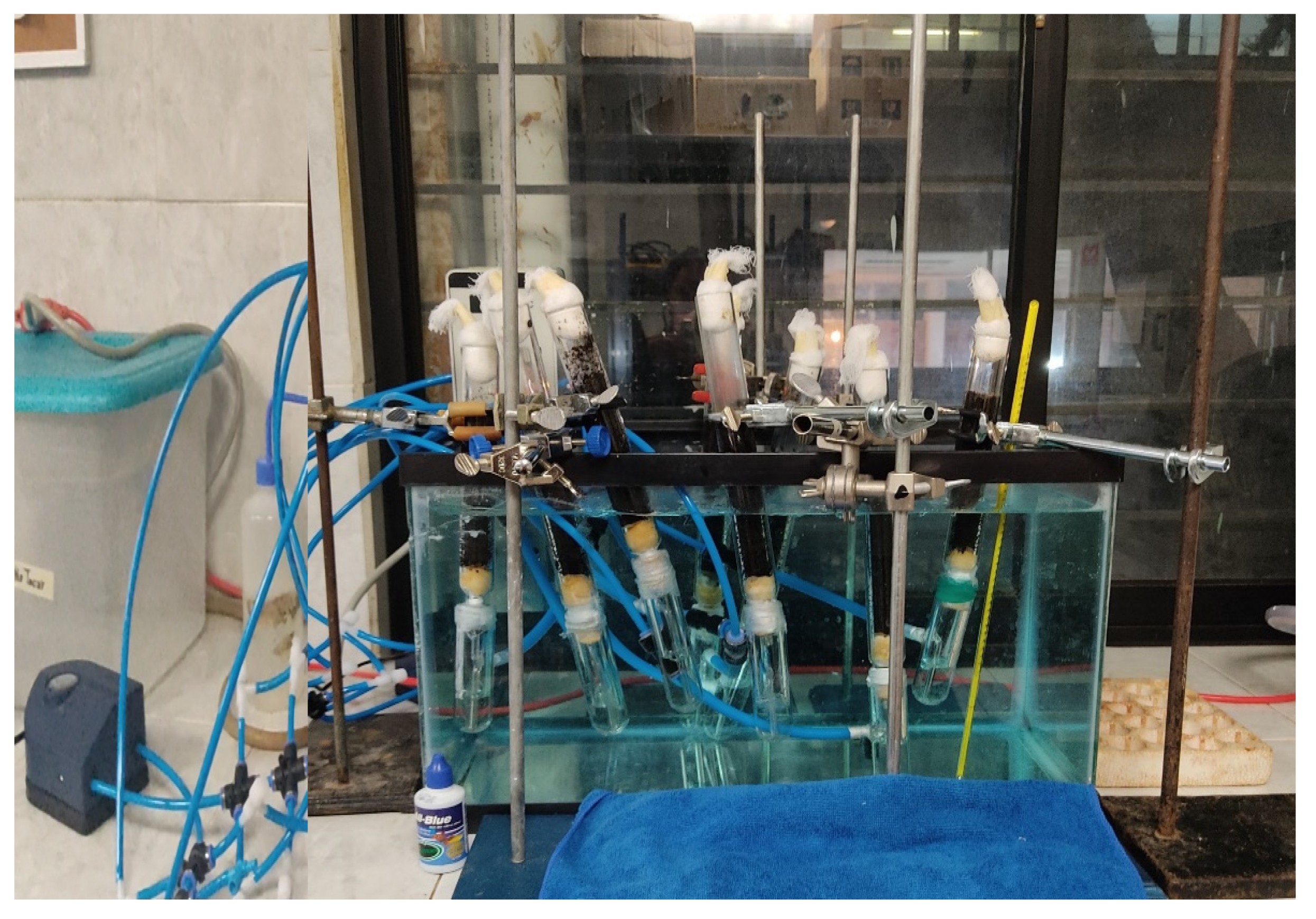 Molecules 27 03887 g009 Molecules 27 03887 g009