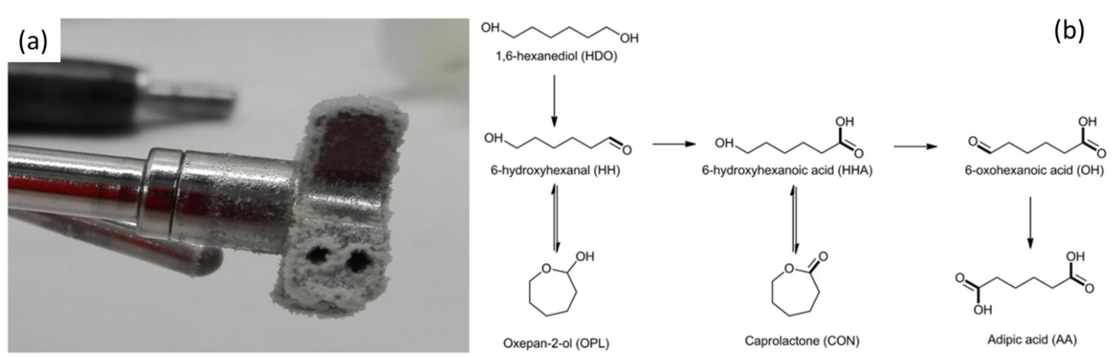 Molecules 27 03889 g005 550