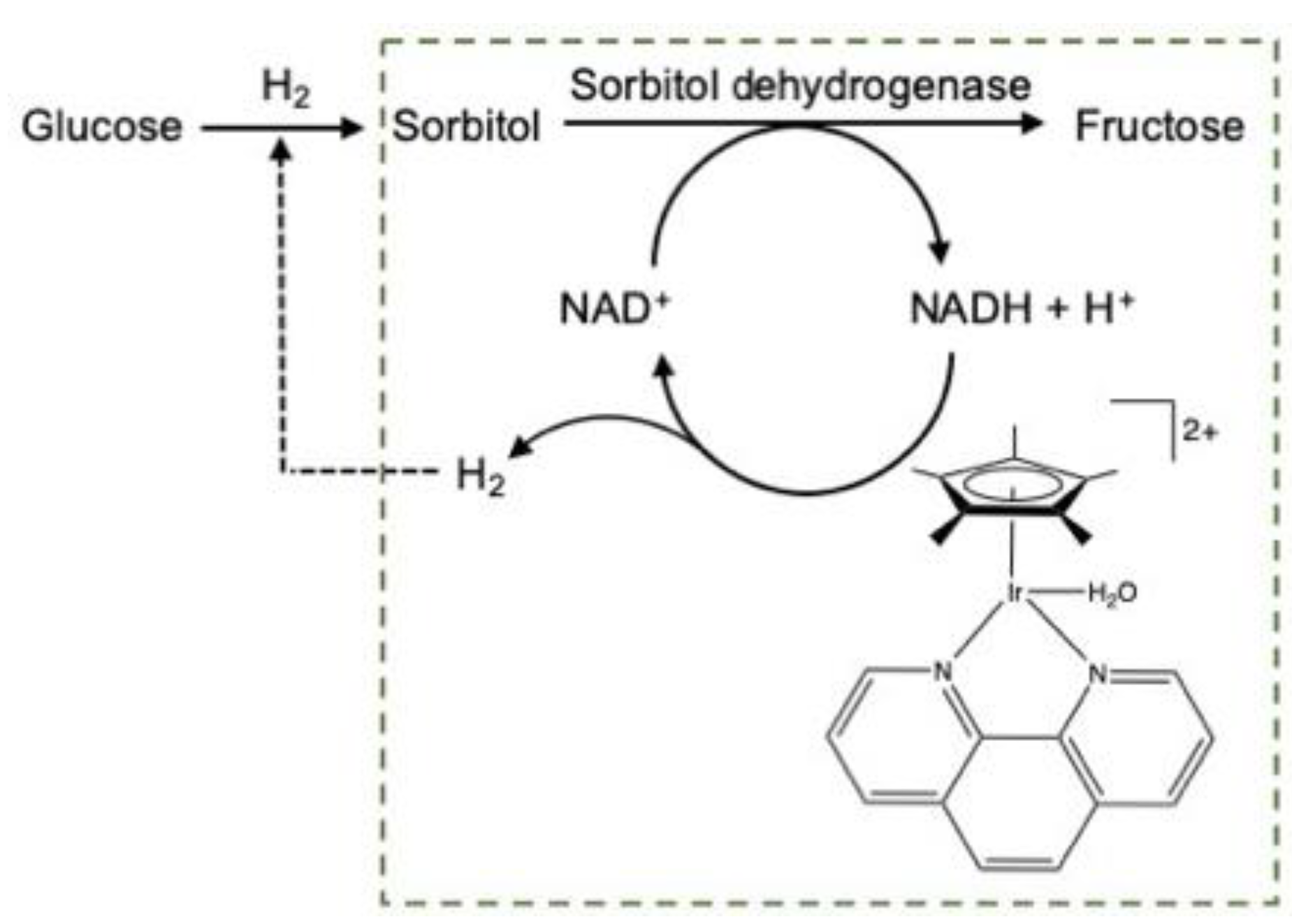 Molecules 27 03889 g017 550