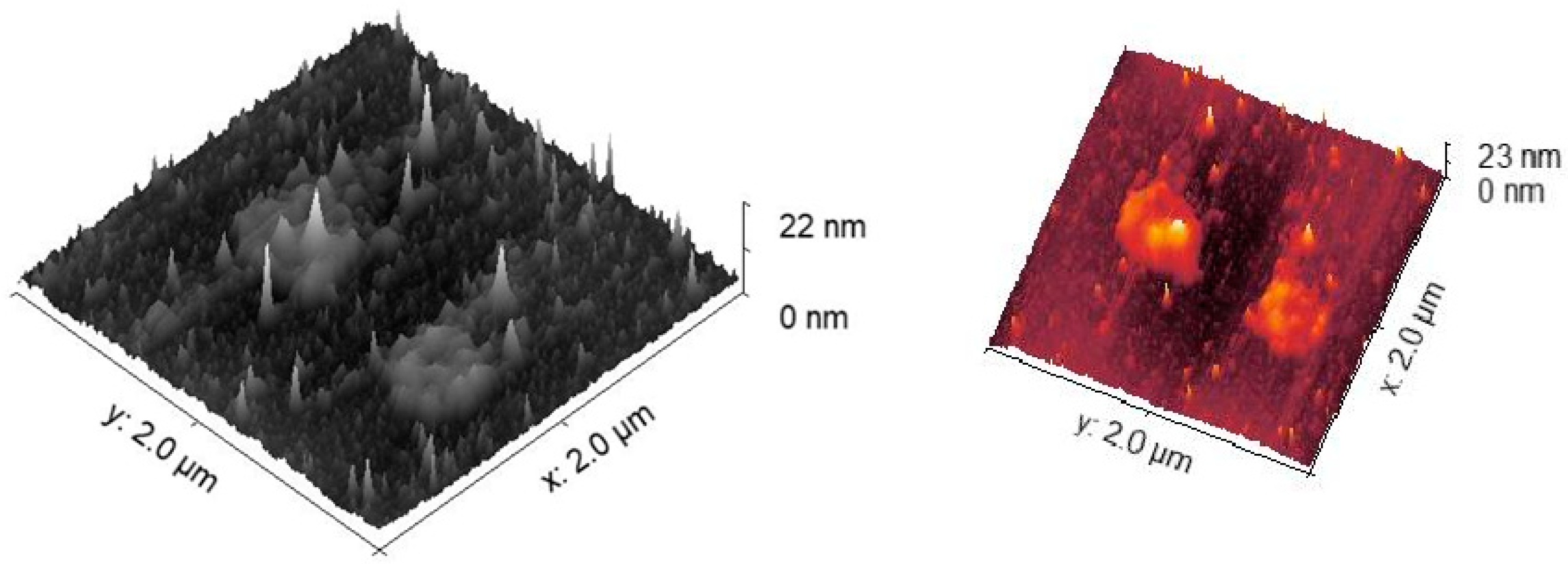 Molecules 27 03893 g003 550
