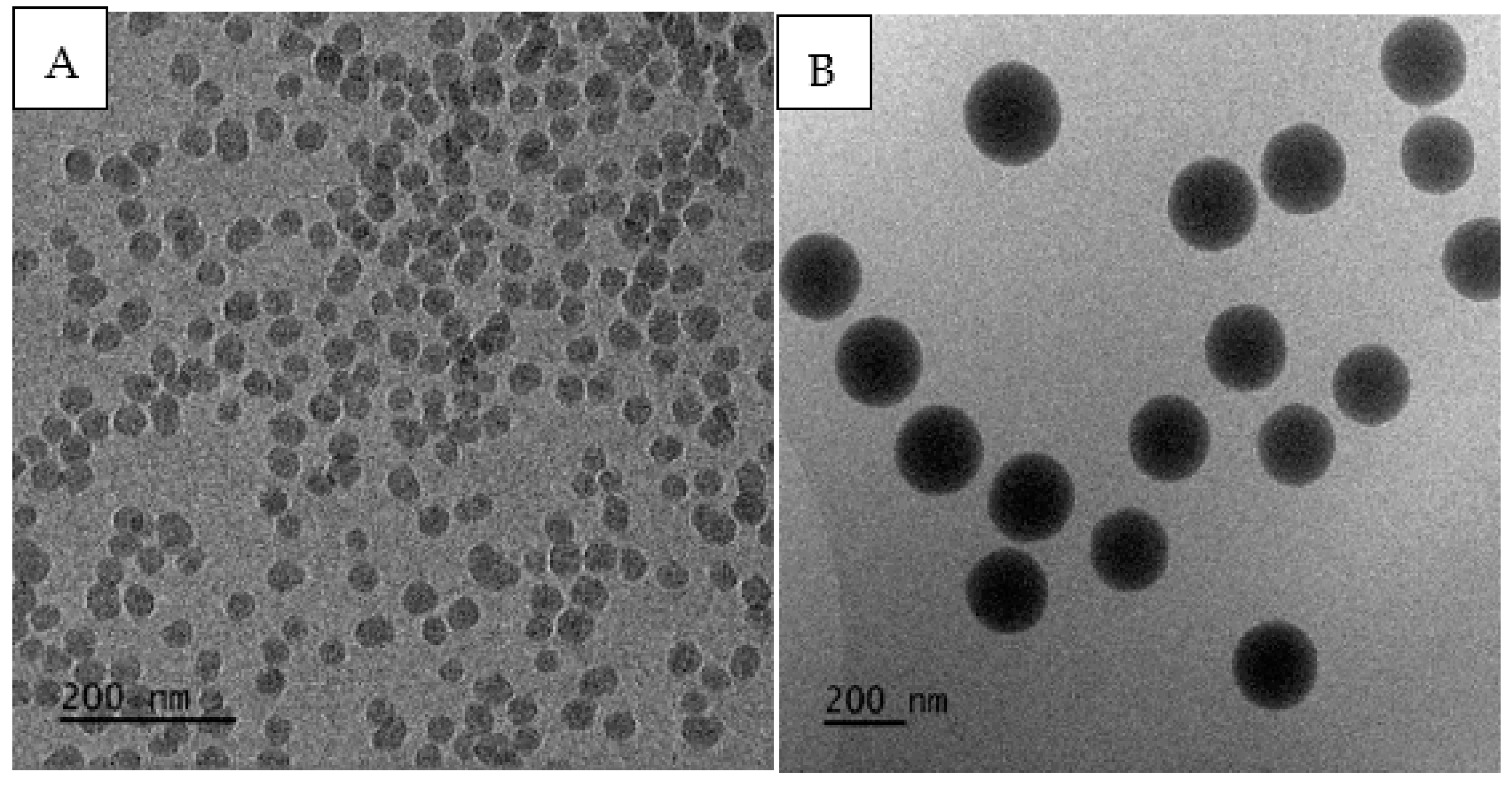 Molecules 27 03896 g004