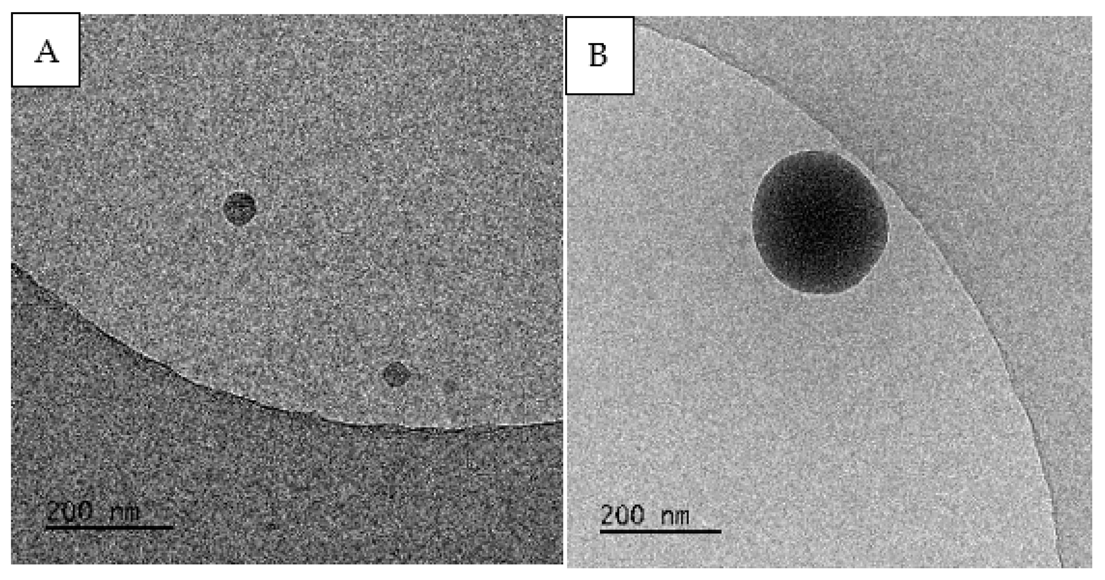 Molecules 27 03896 g005