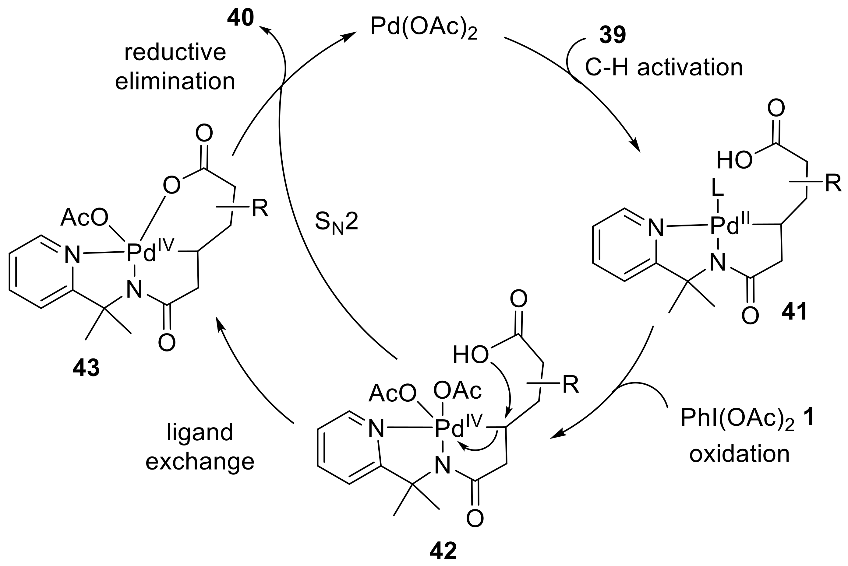 Molecules 27 03900 sch011 Molecules 27 03900 sch011