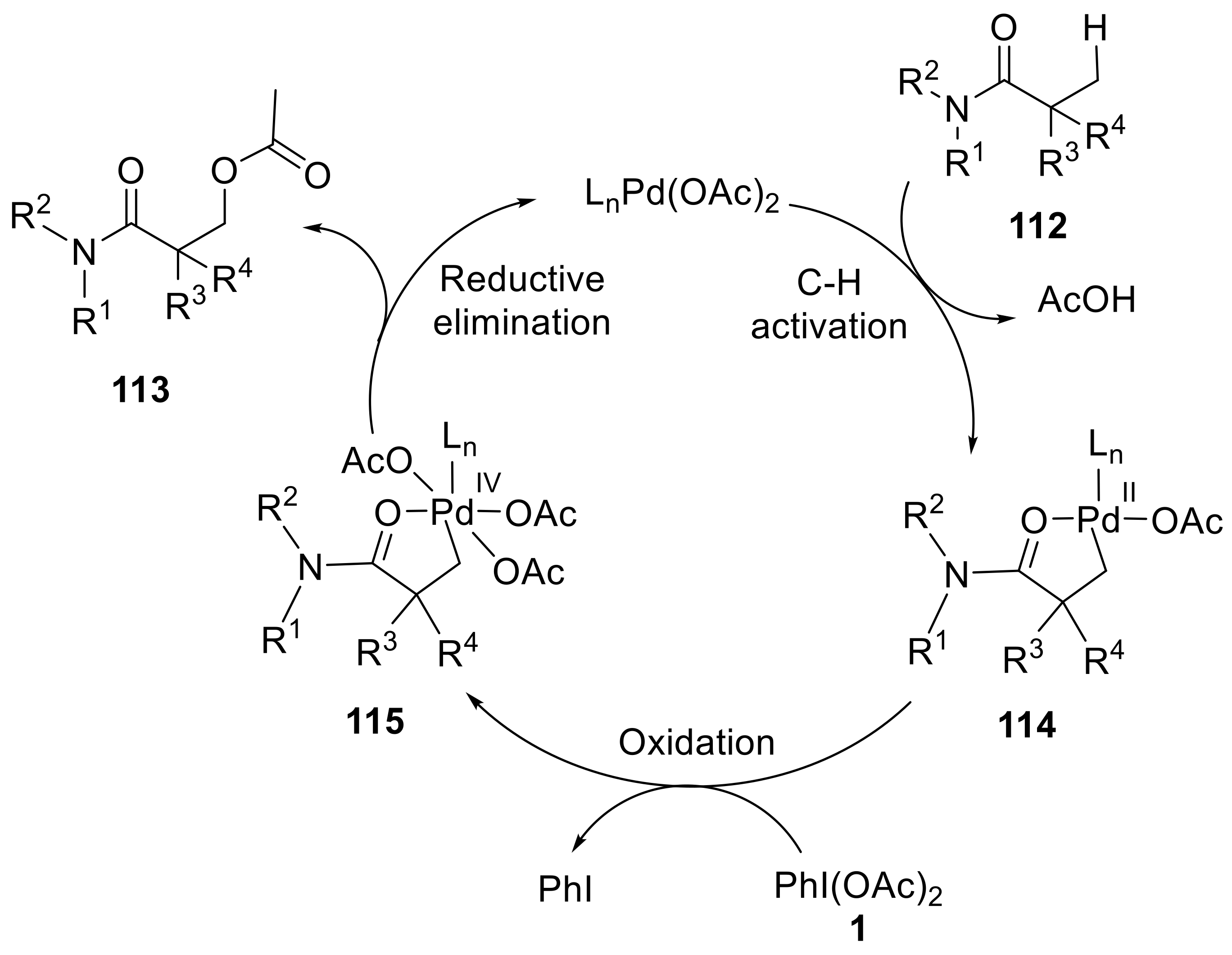 Molecules 27 03900 sch036 Molecules 27 03900 sch036