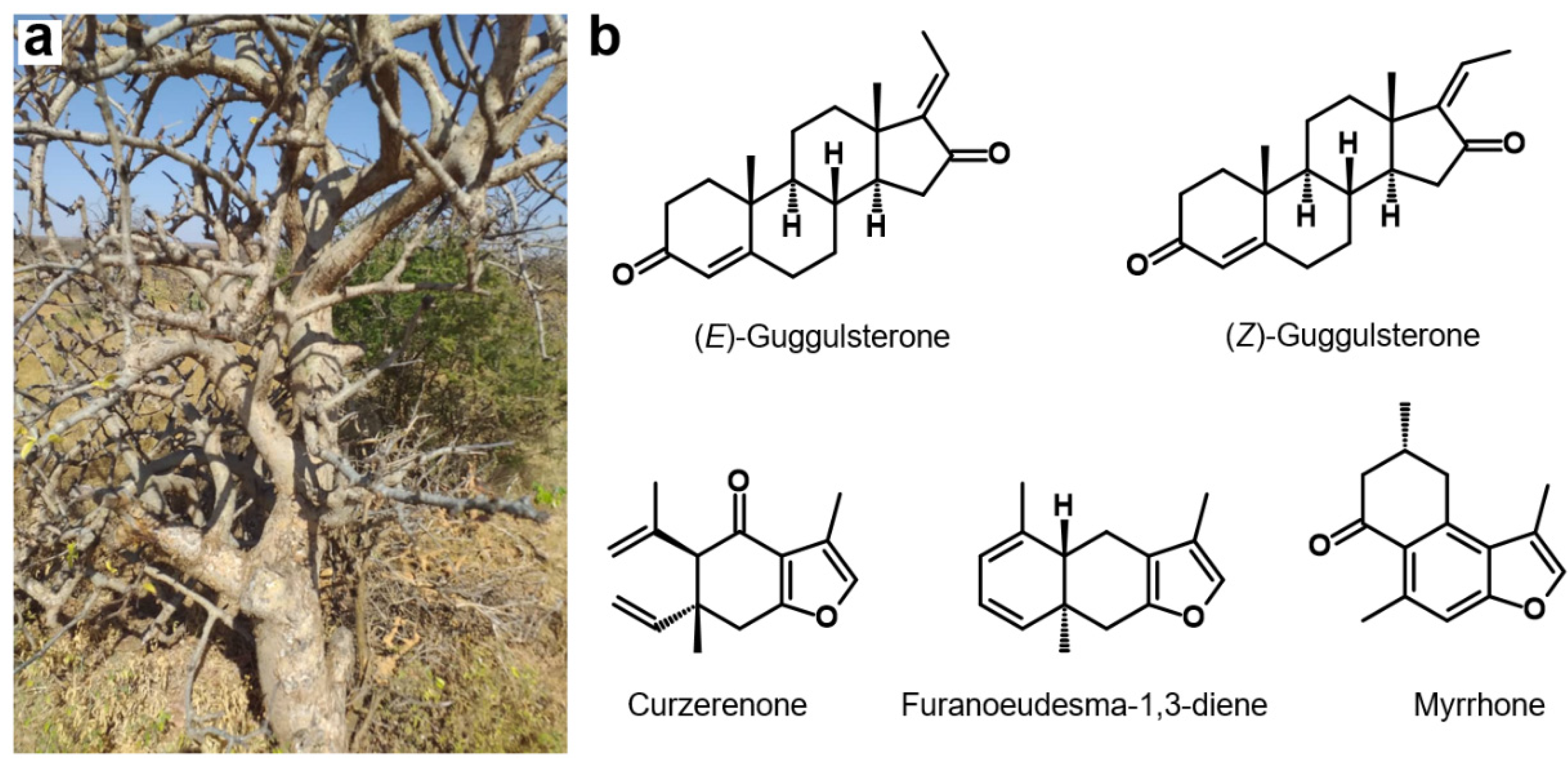 Molecules 27 03903 g001