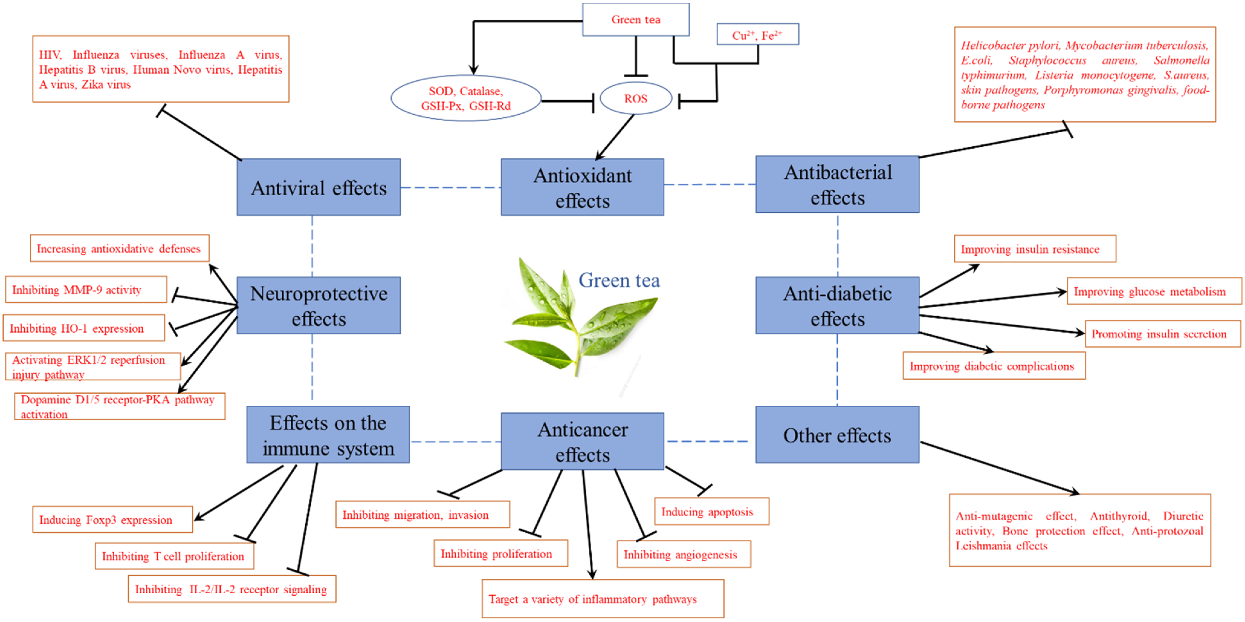 Molecules 27 03909 g009 Molecules 27 03909 g009