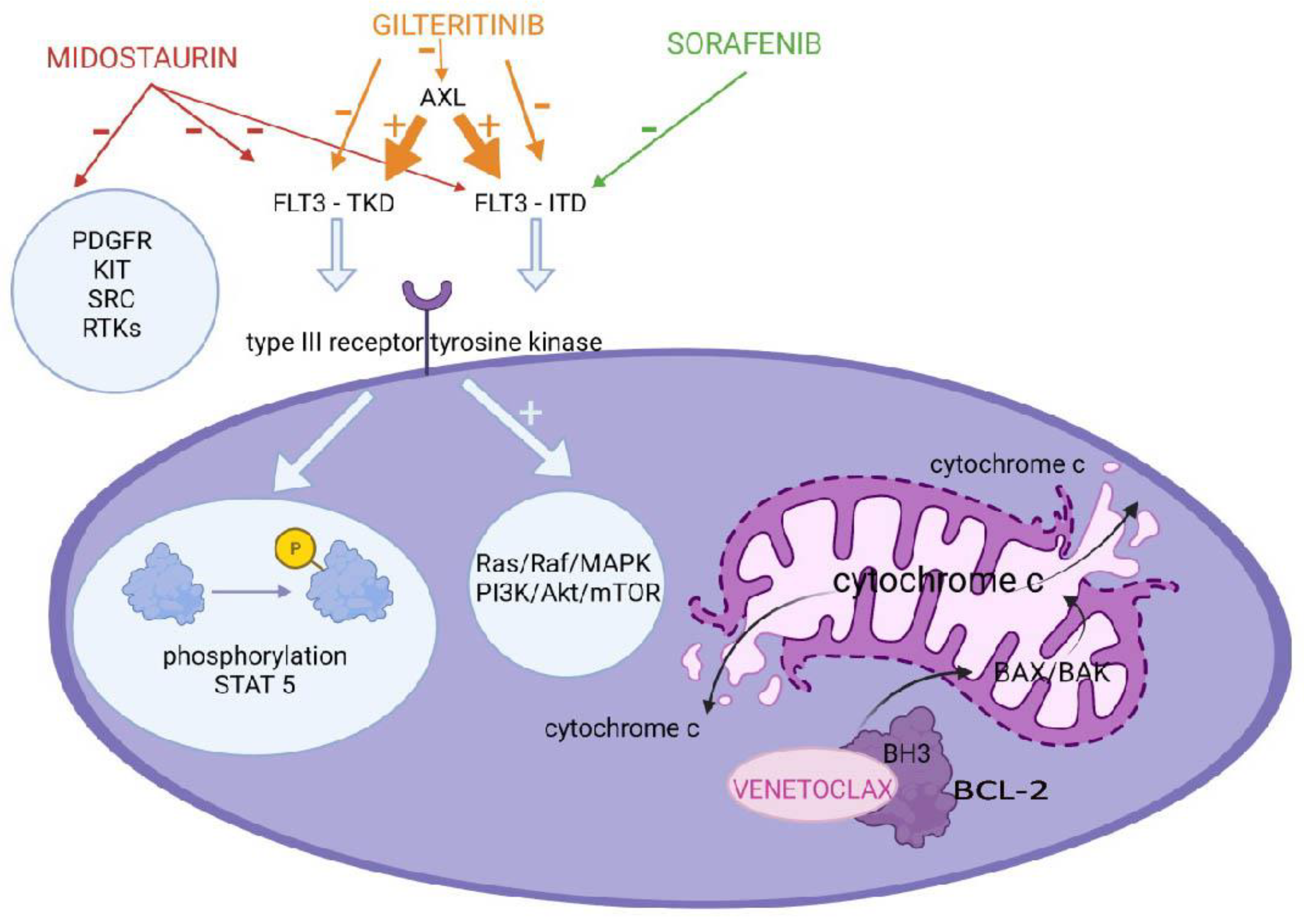 Molecules 27 03911 g001
