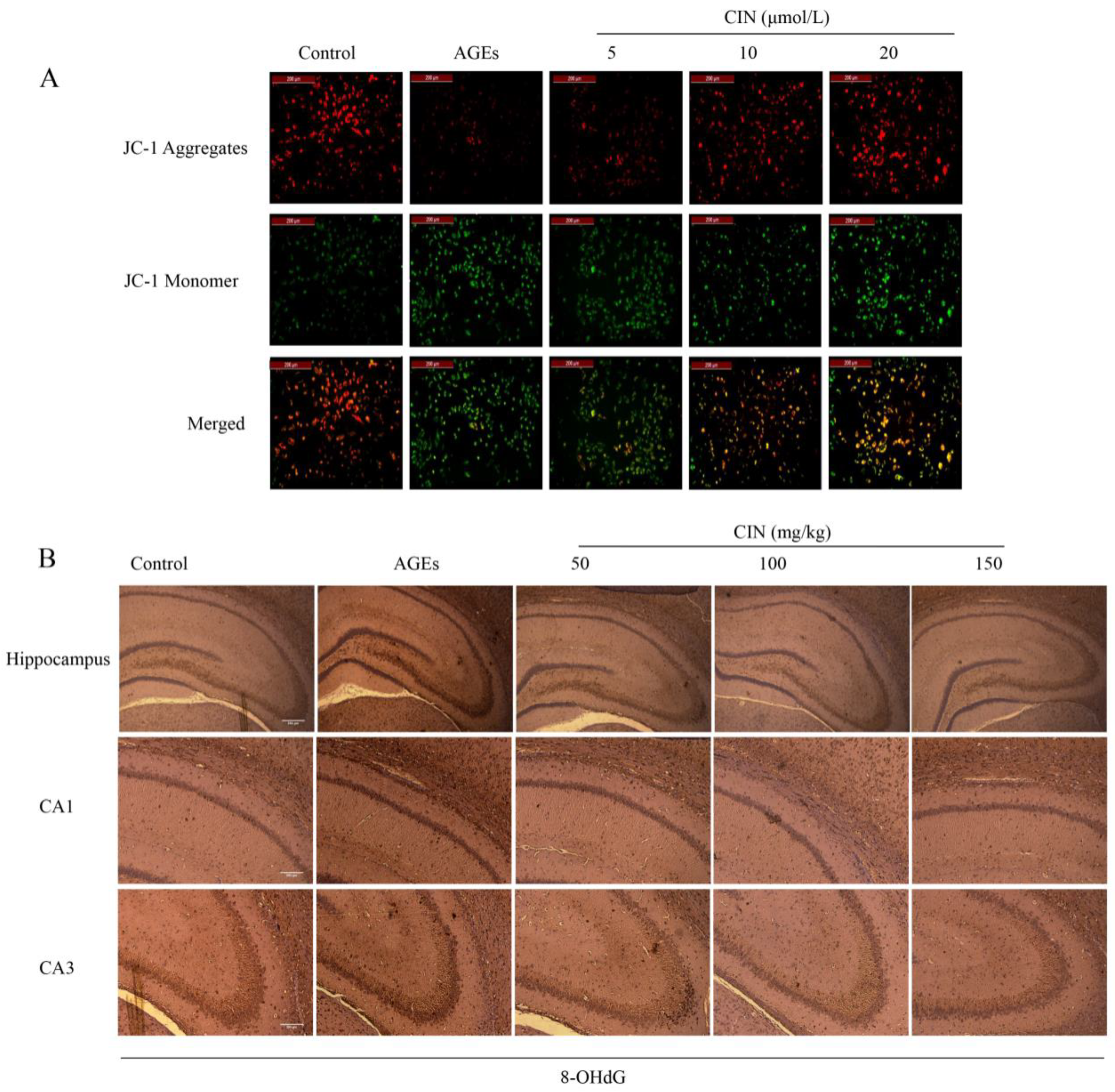Molecules 27 03913 g002 550