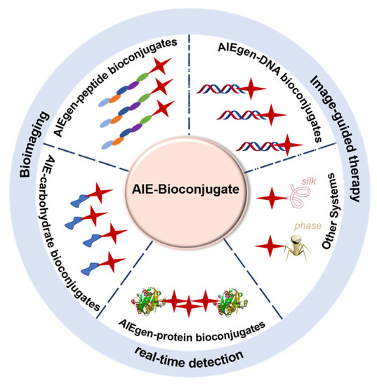 Activity-Based Imaging of Lipid Environments Targeted by Peroxynitrite in  Biomimetic Vesicles and Live Cells