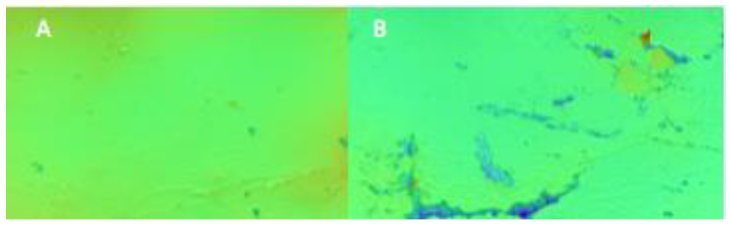 Molecules 27 03926 g004