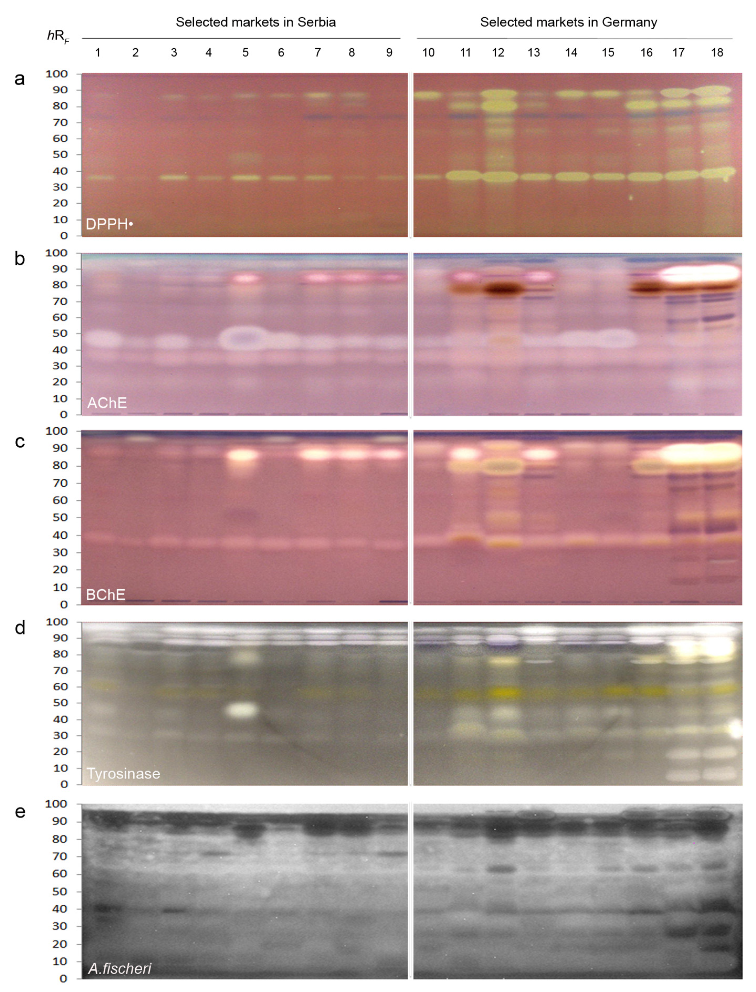 Molecules 27 03933 g002 550