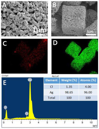 Facile Synthesis of Porous Ag Crystals as SERS Sensor for