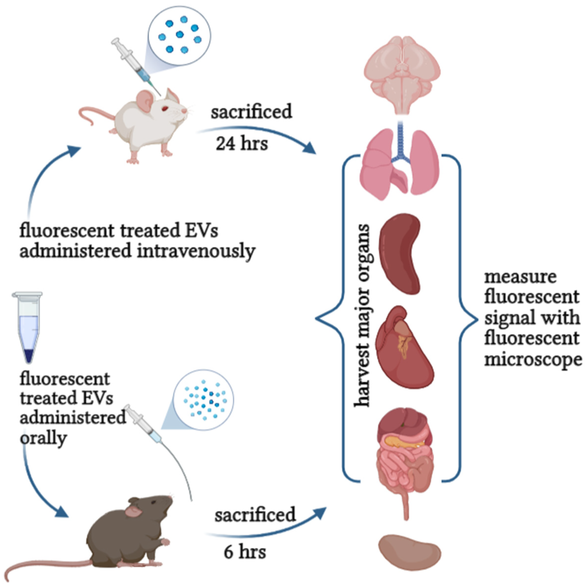 Molecules 27 03941 g004