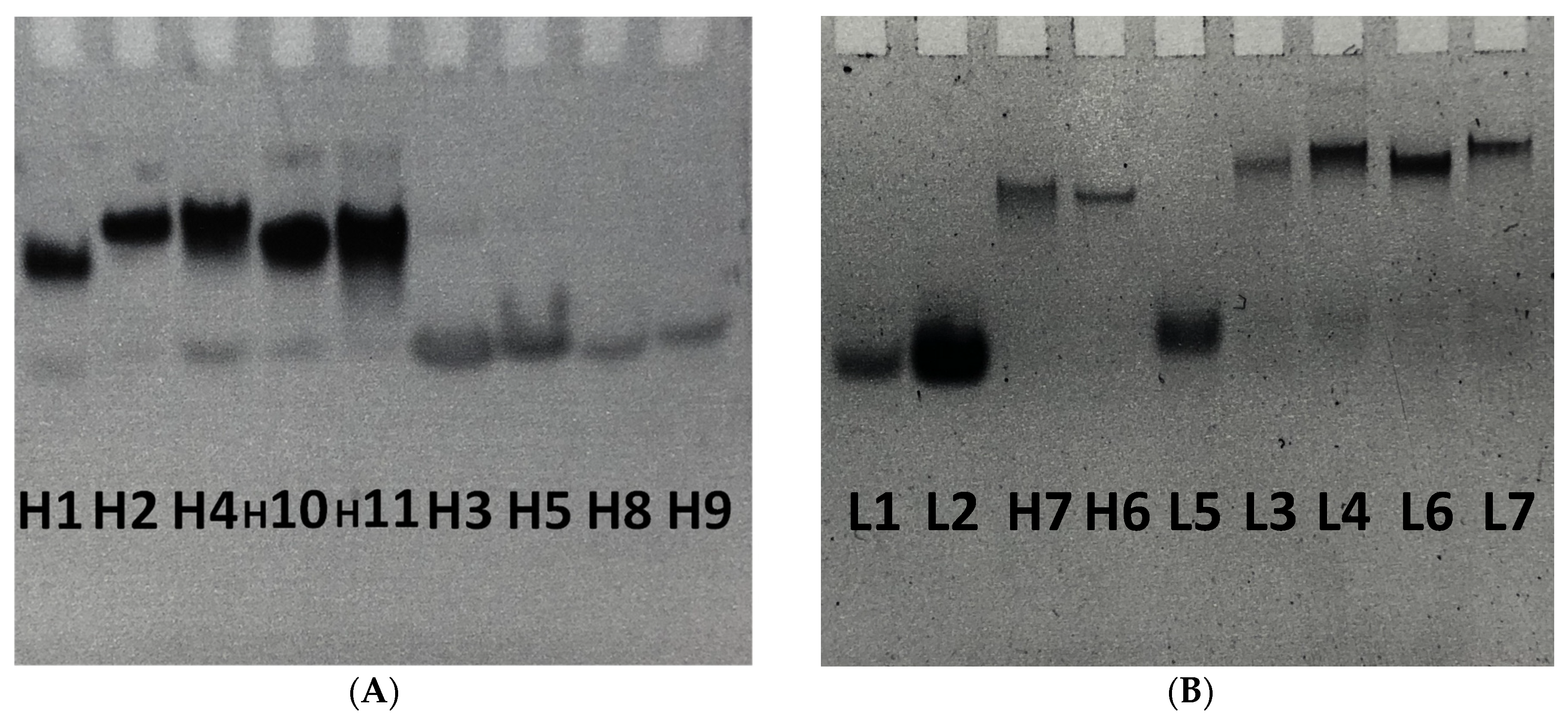 Molecules 27 03944 g003 550