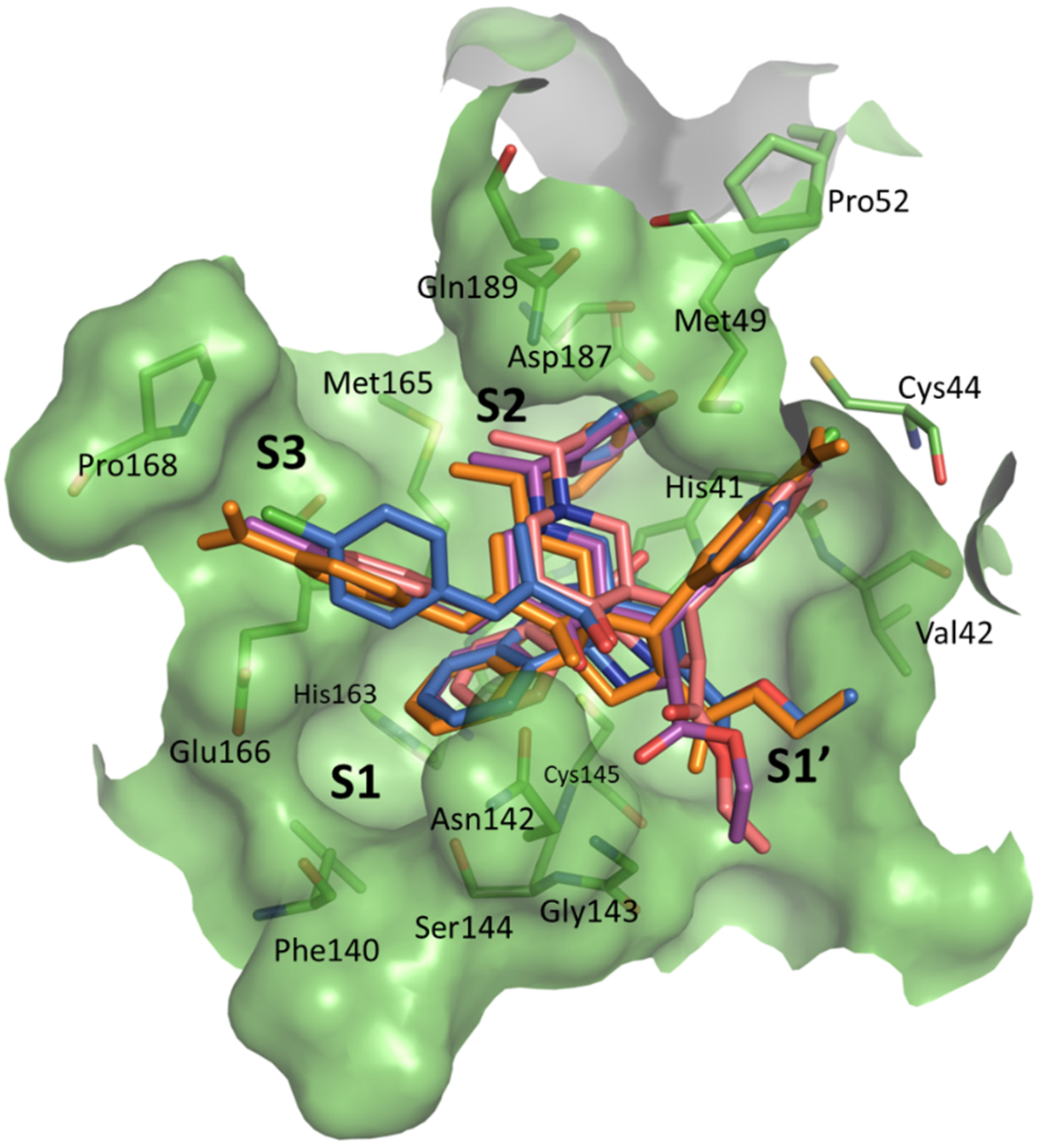 Molecules 27 03945 g006 550