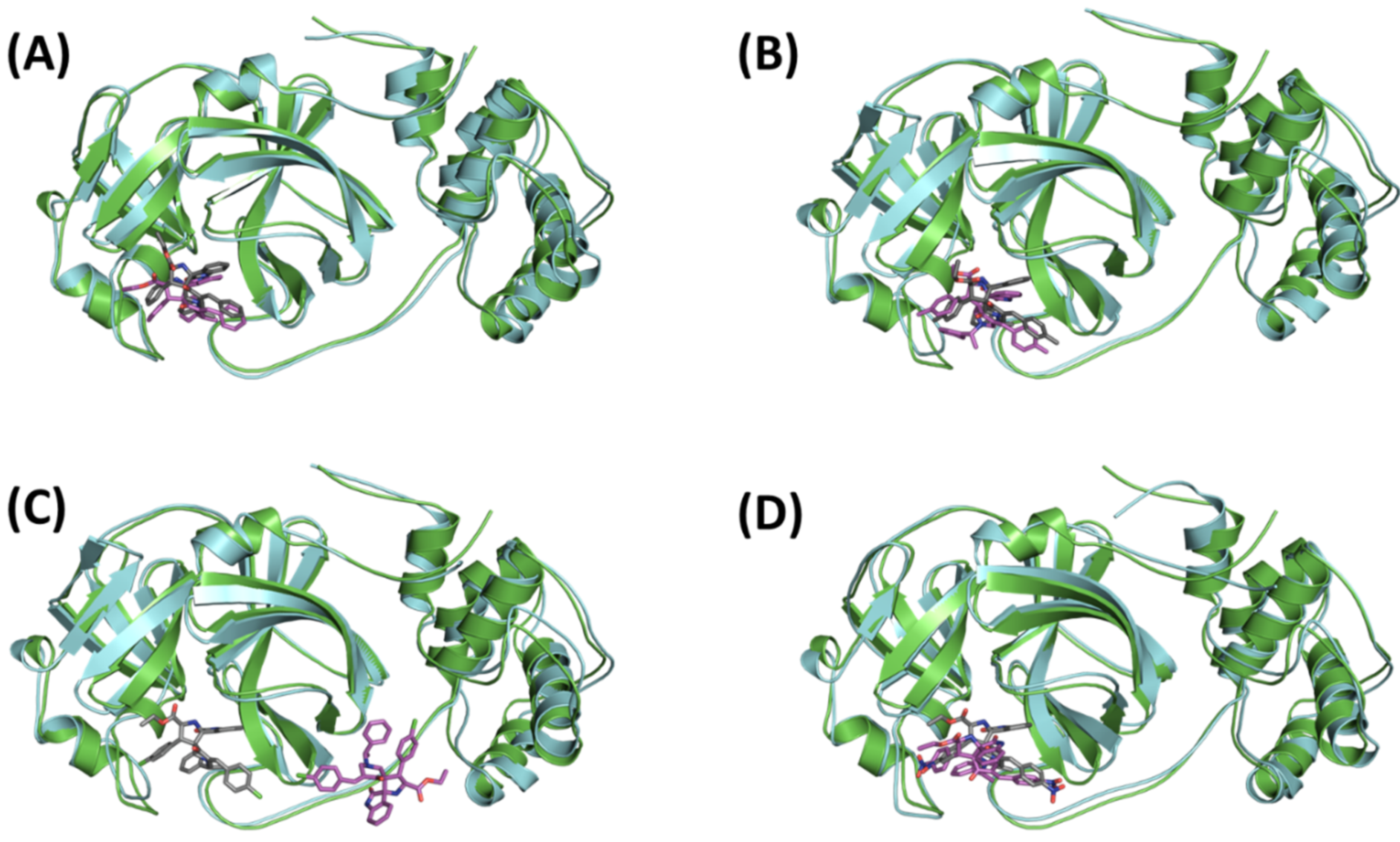 Molecules 27 03945 g007 550