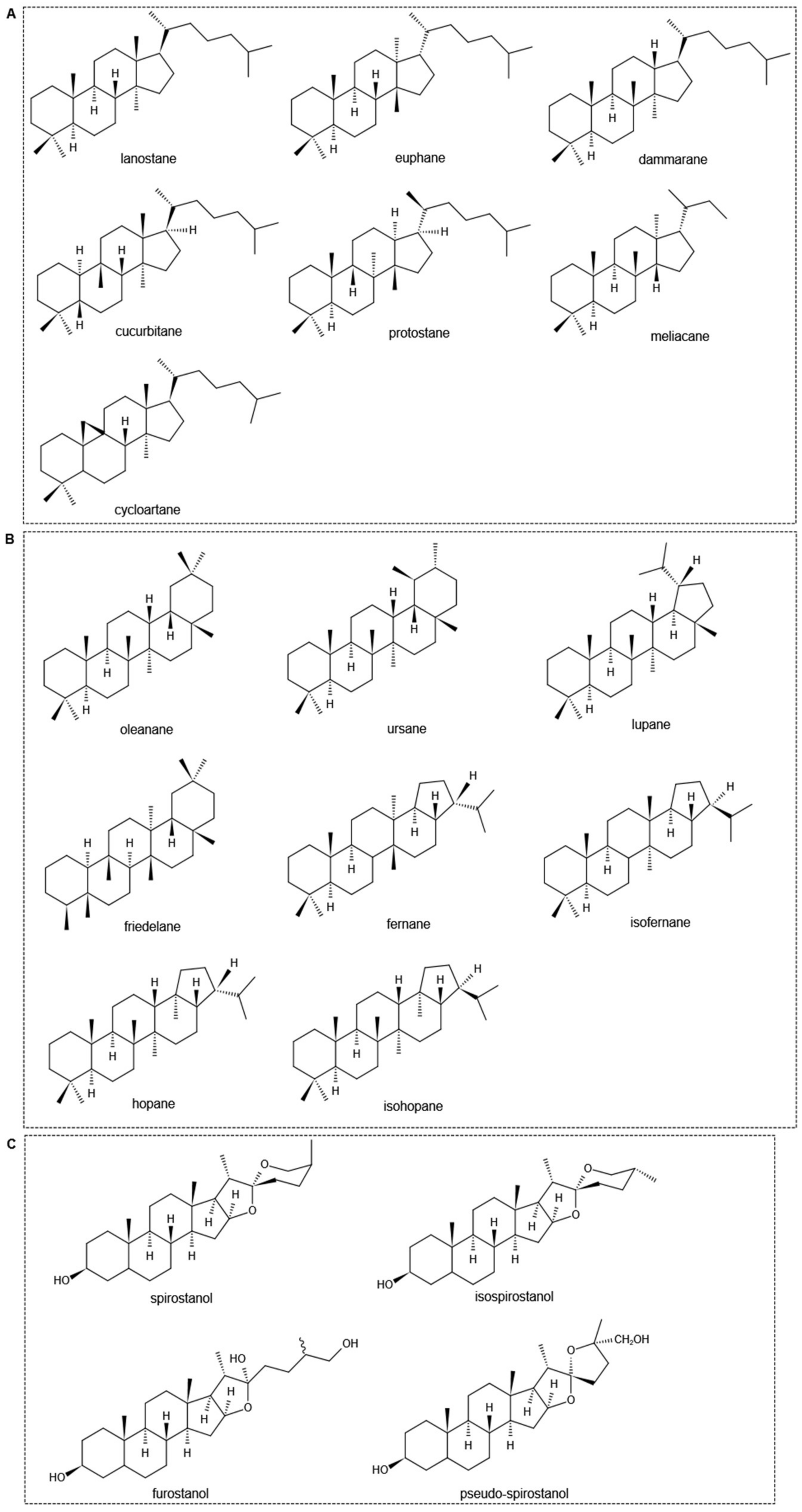 Molecules 27 03956 g001 550