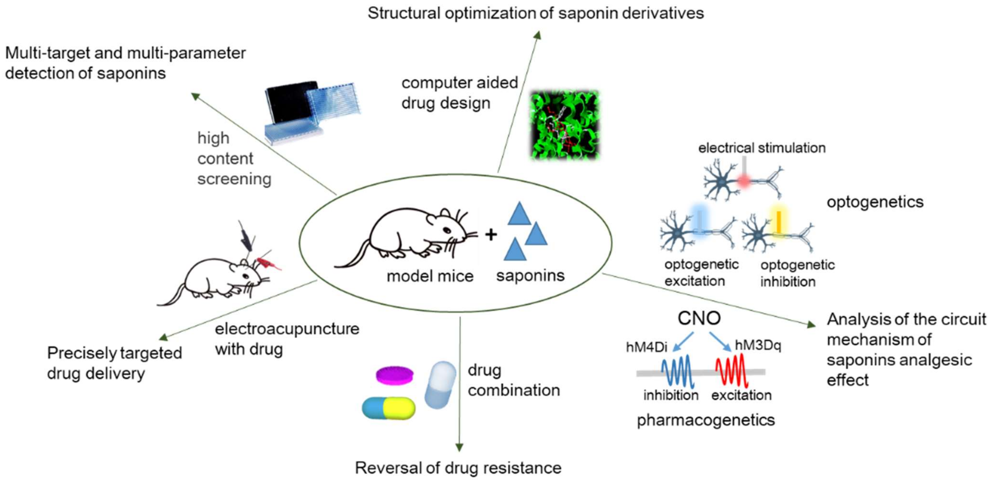 Molecules 27 03956 g003 550