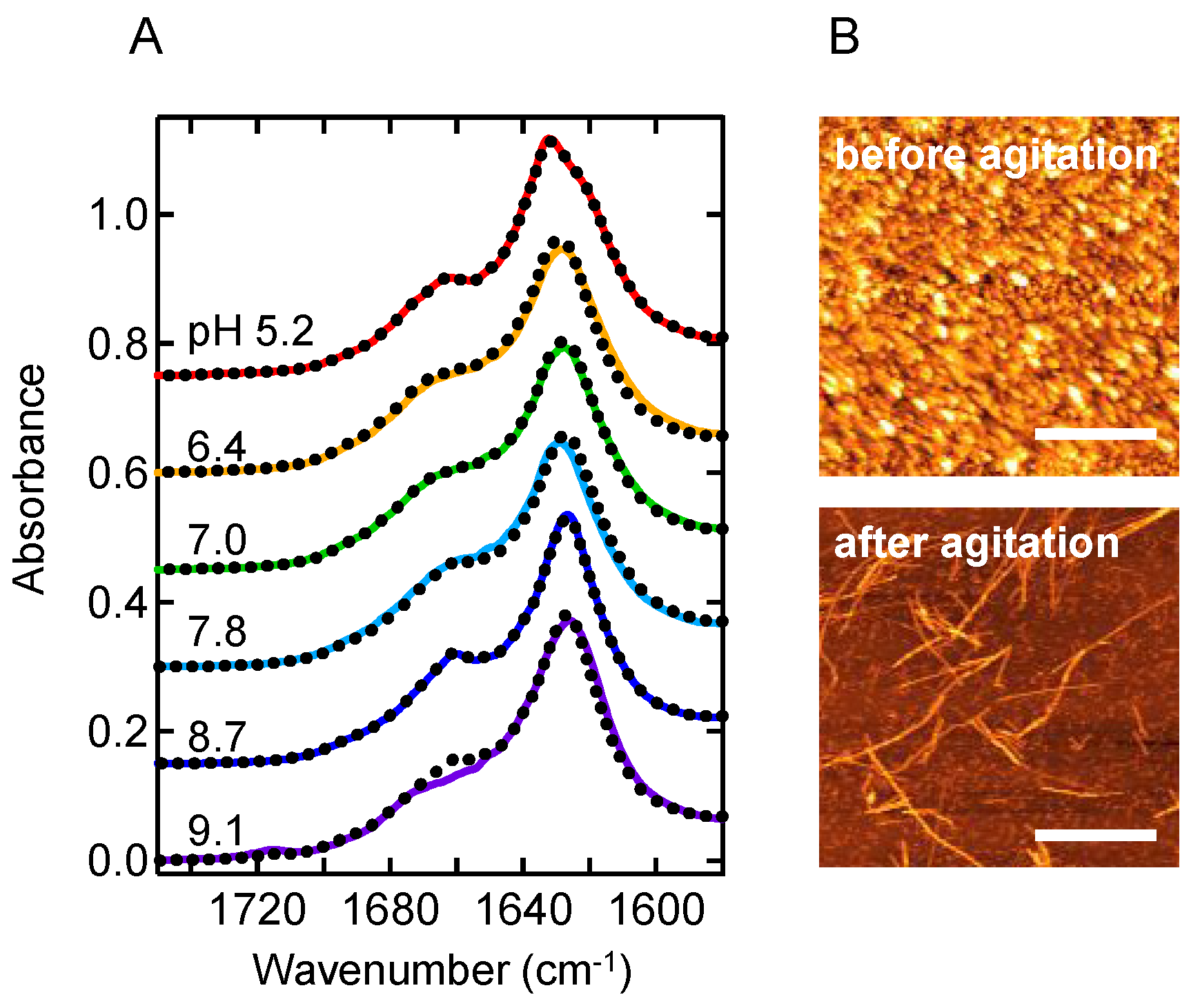 Molecules 27 03964 g003 550