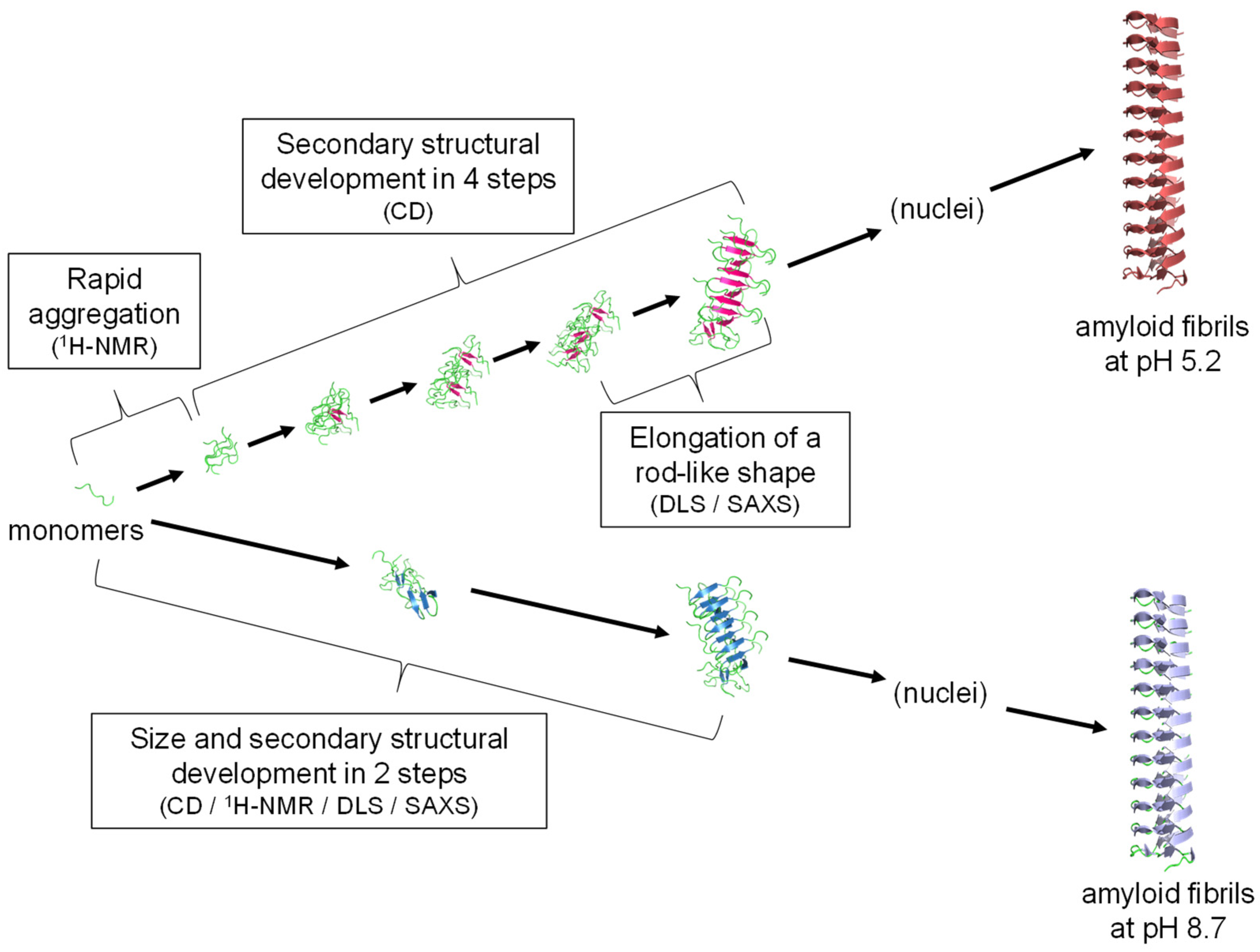 Molecules 27 03964 g007 550