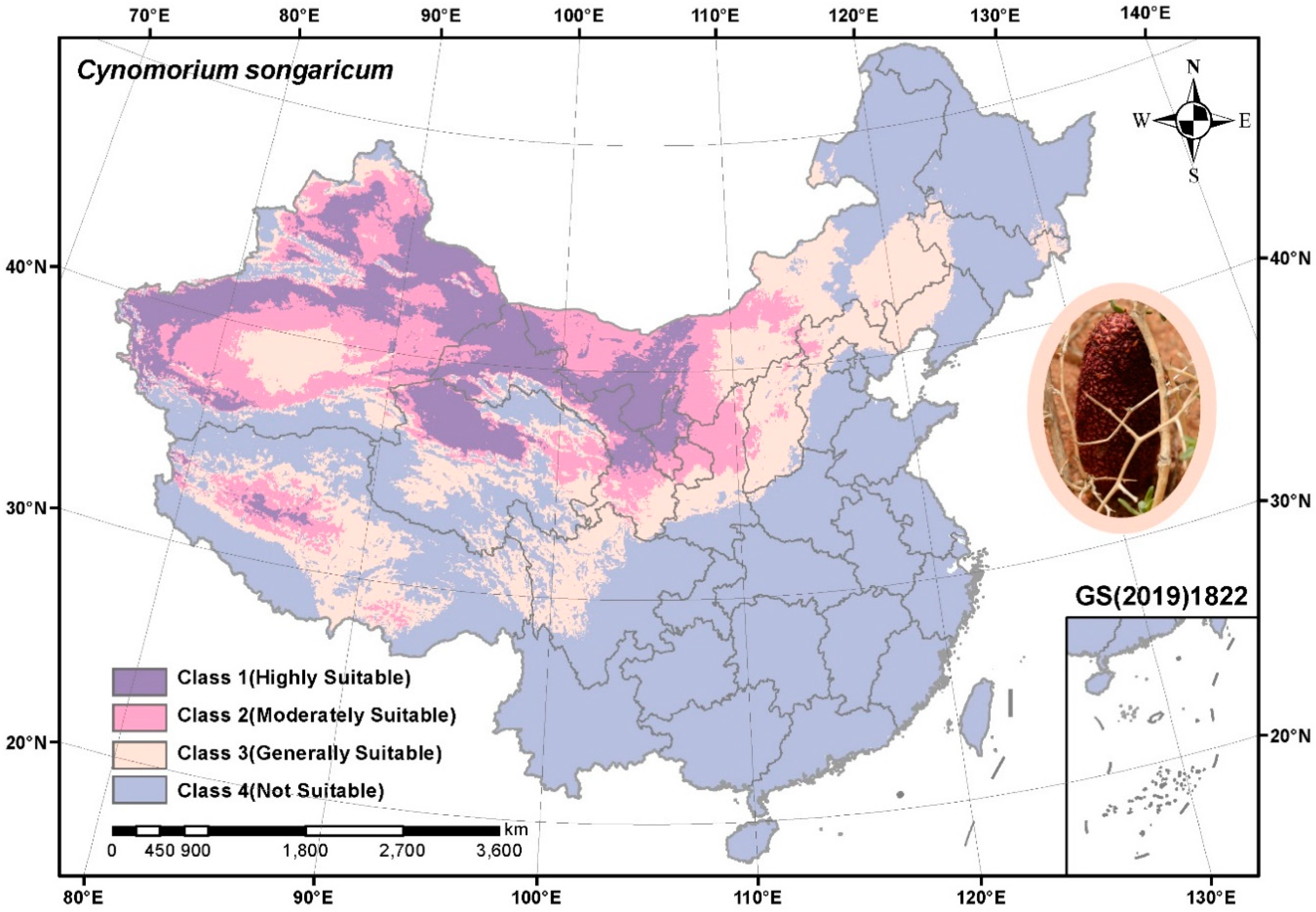 Molecules 27 03967 g001