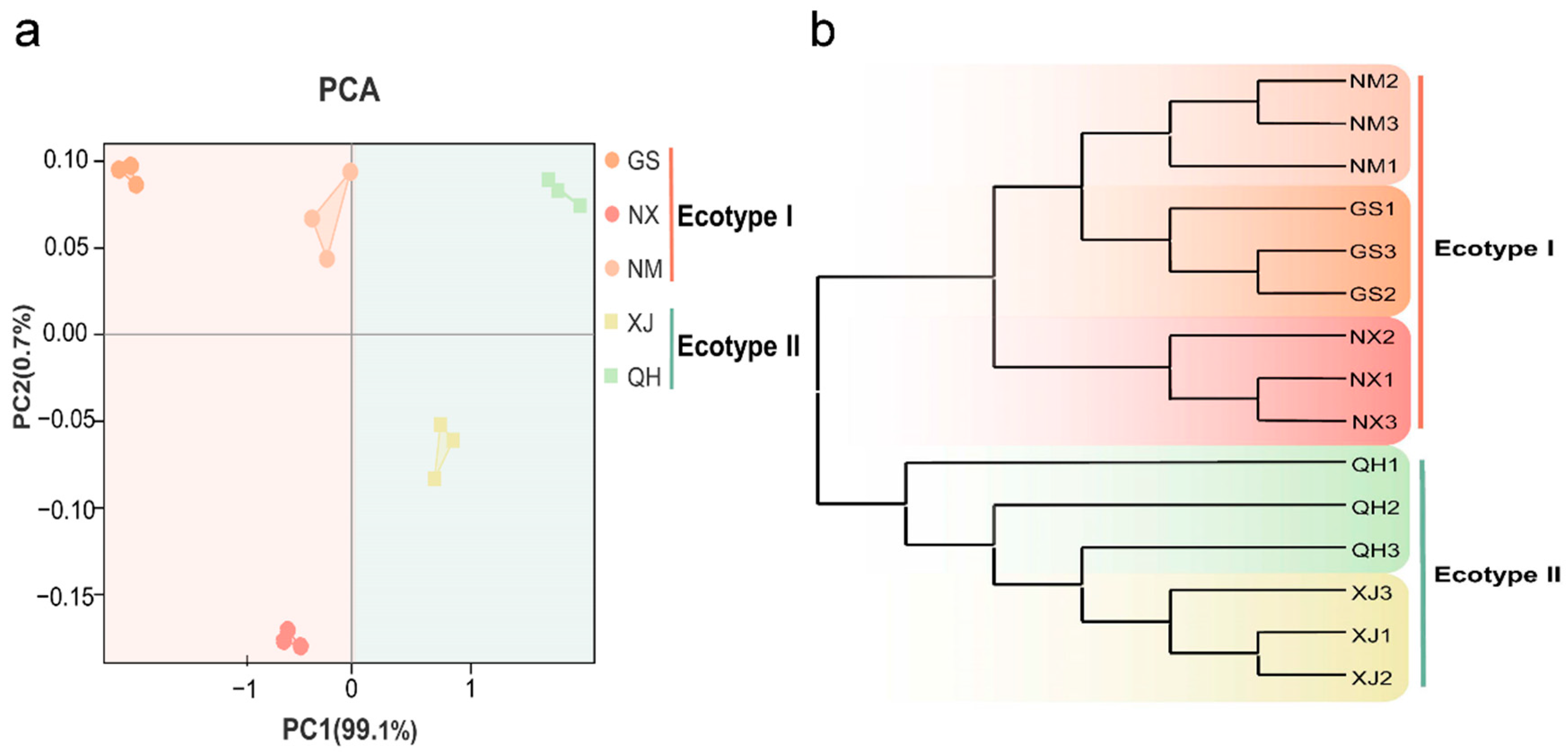 Molecules 27 03967 g003