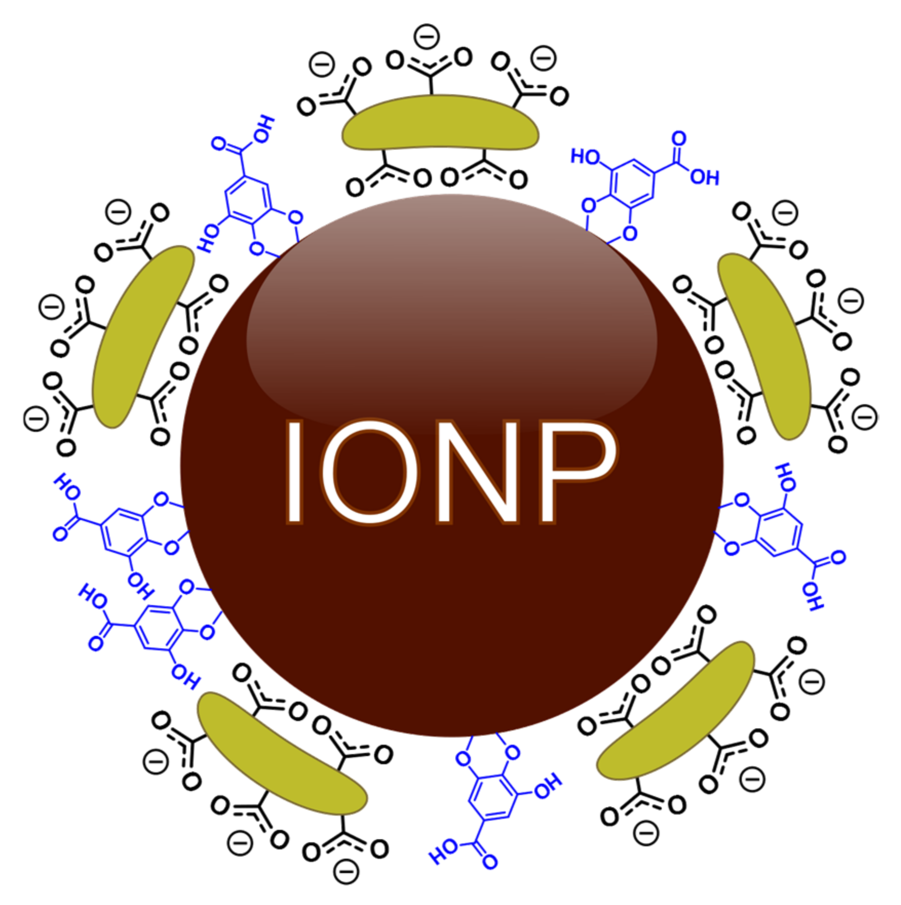 Molecules 27 03970 g001
