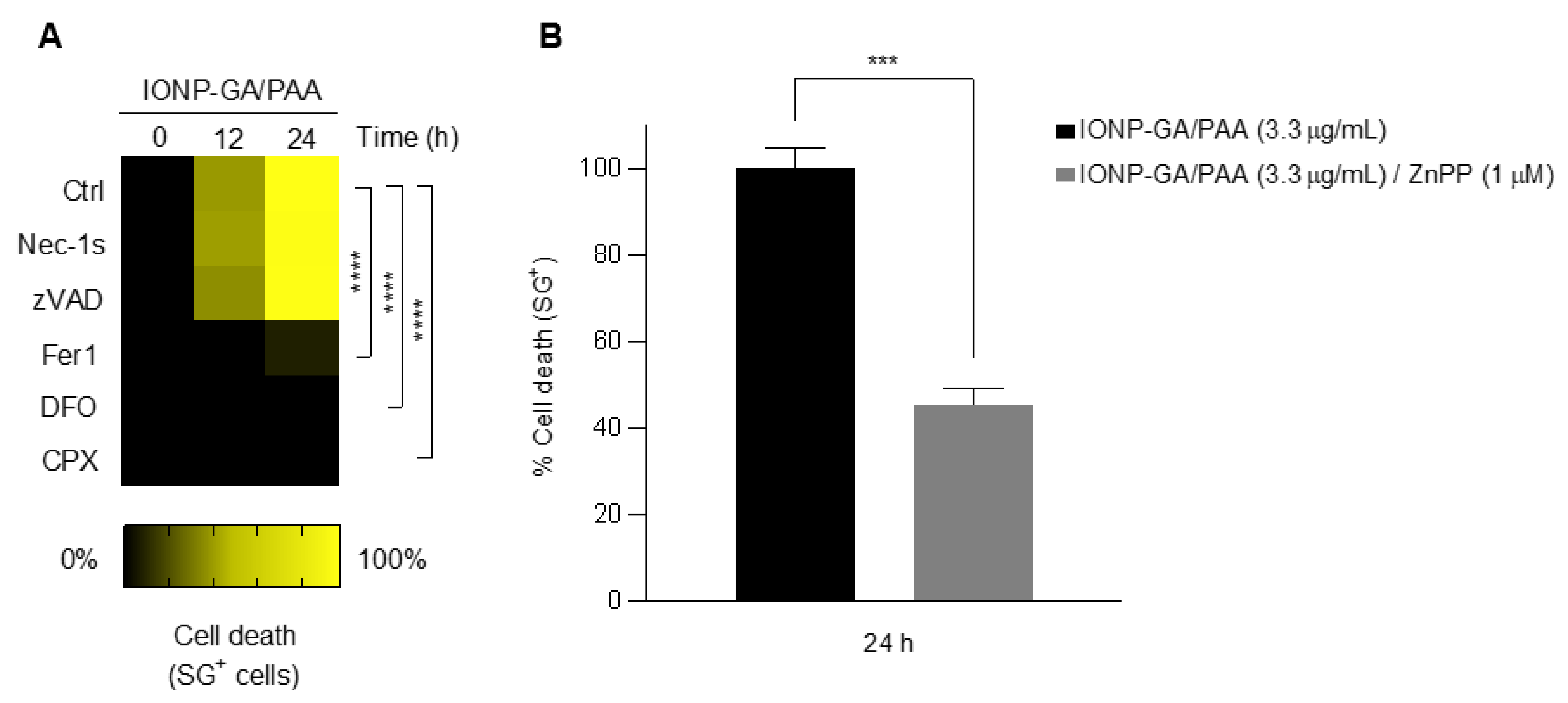 Molecules 27 03970 g004
