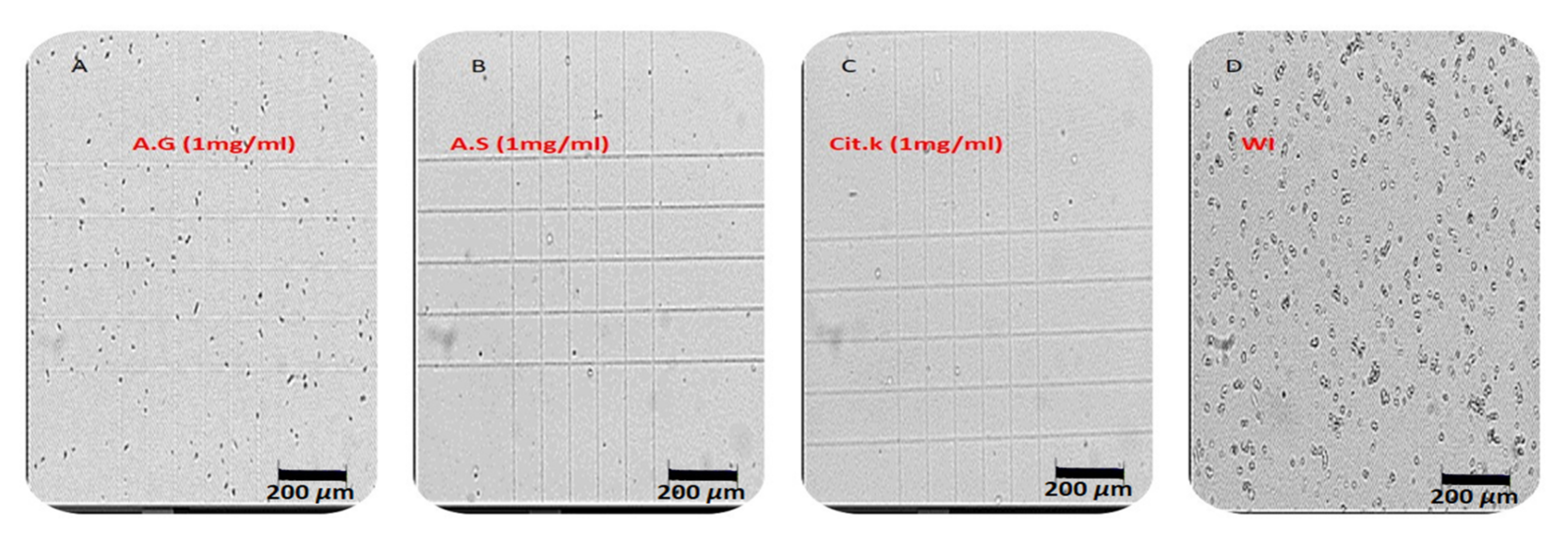 Molecules 27 03973 g006 550