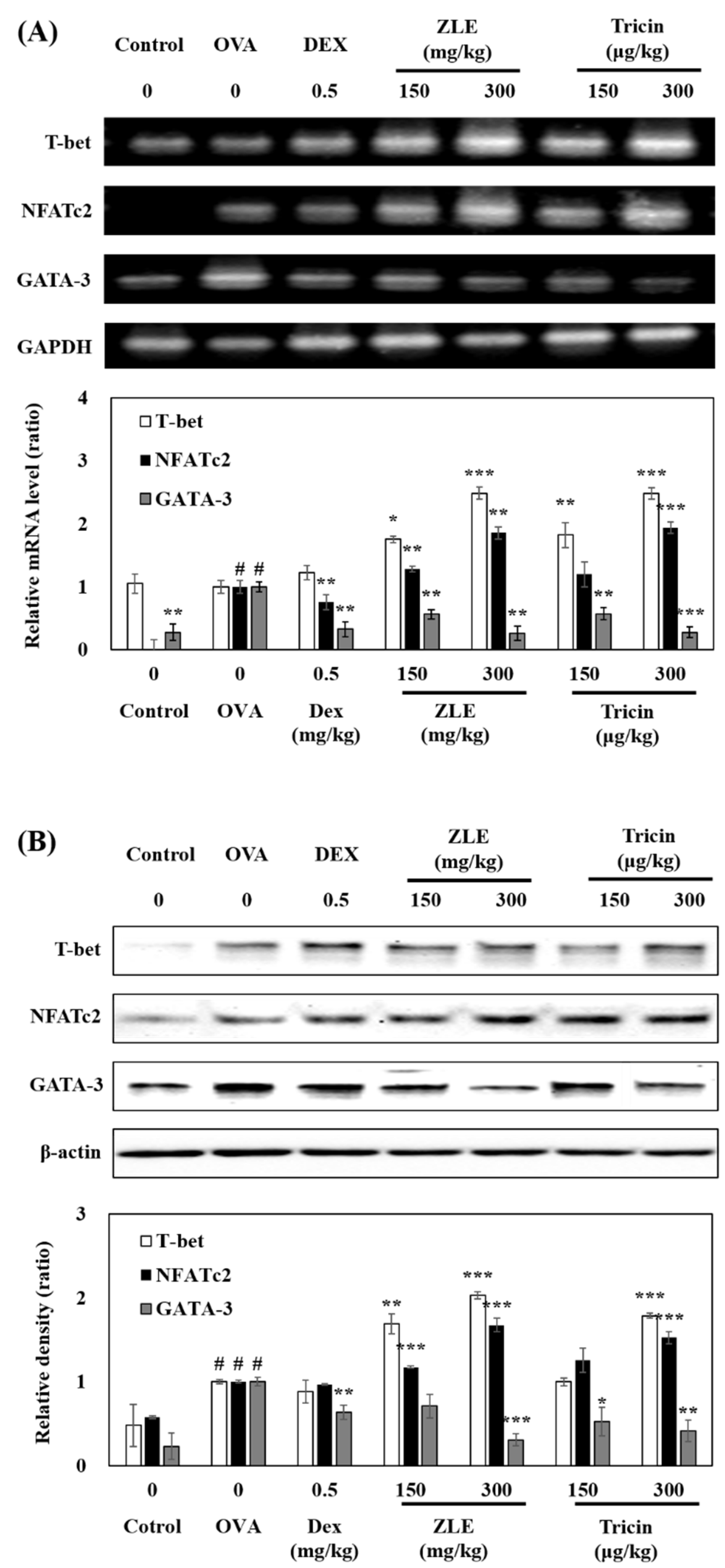 Molecules 27 03978 g004 550