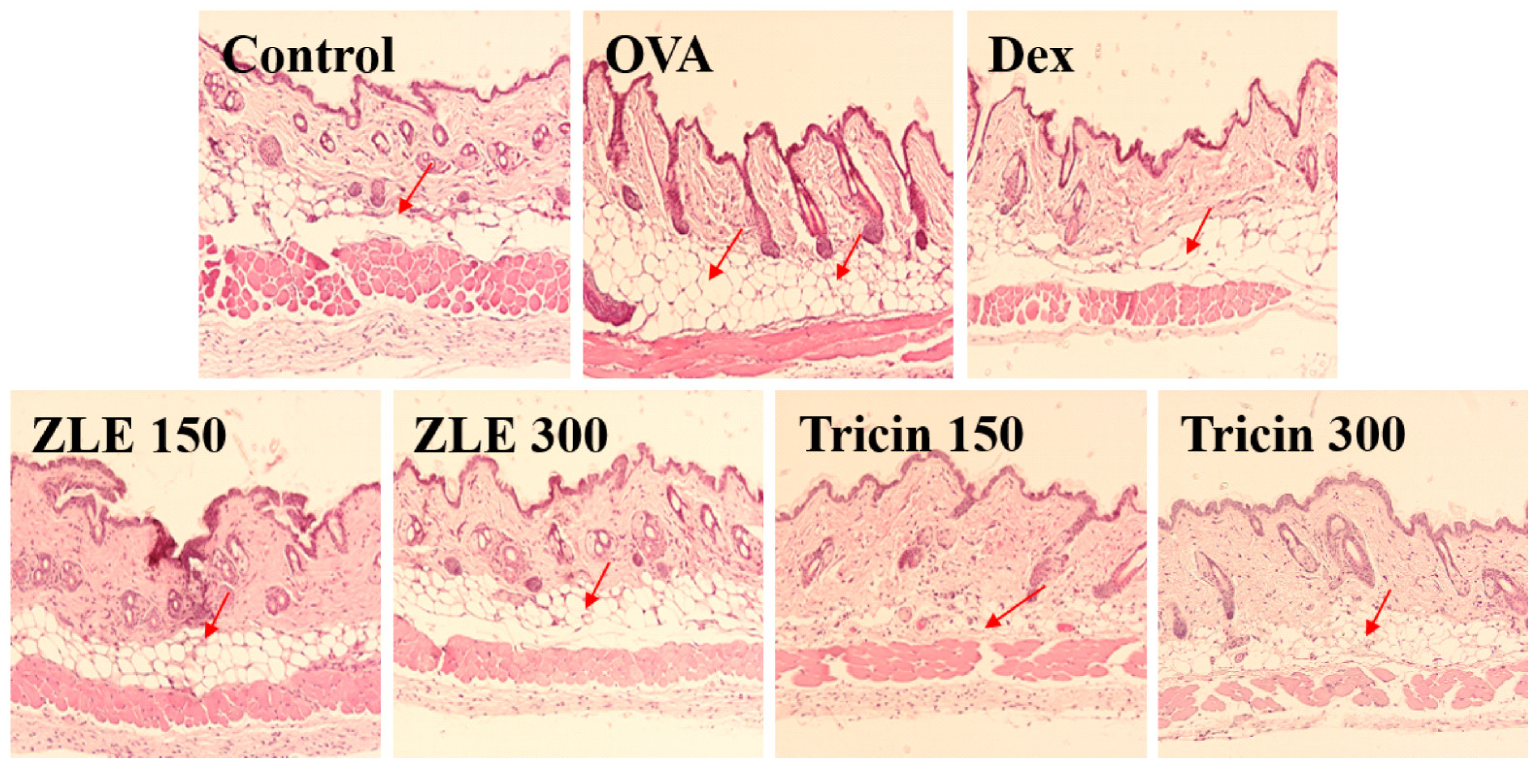 Molecules 27 03978 g005 550