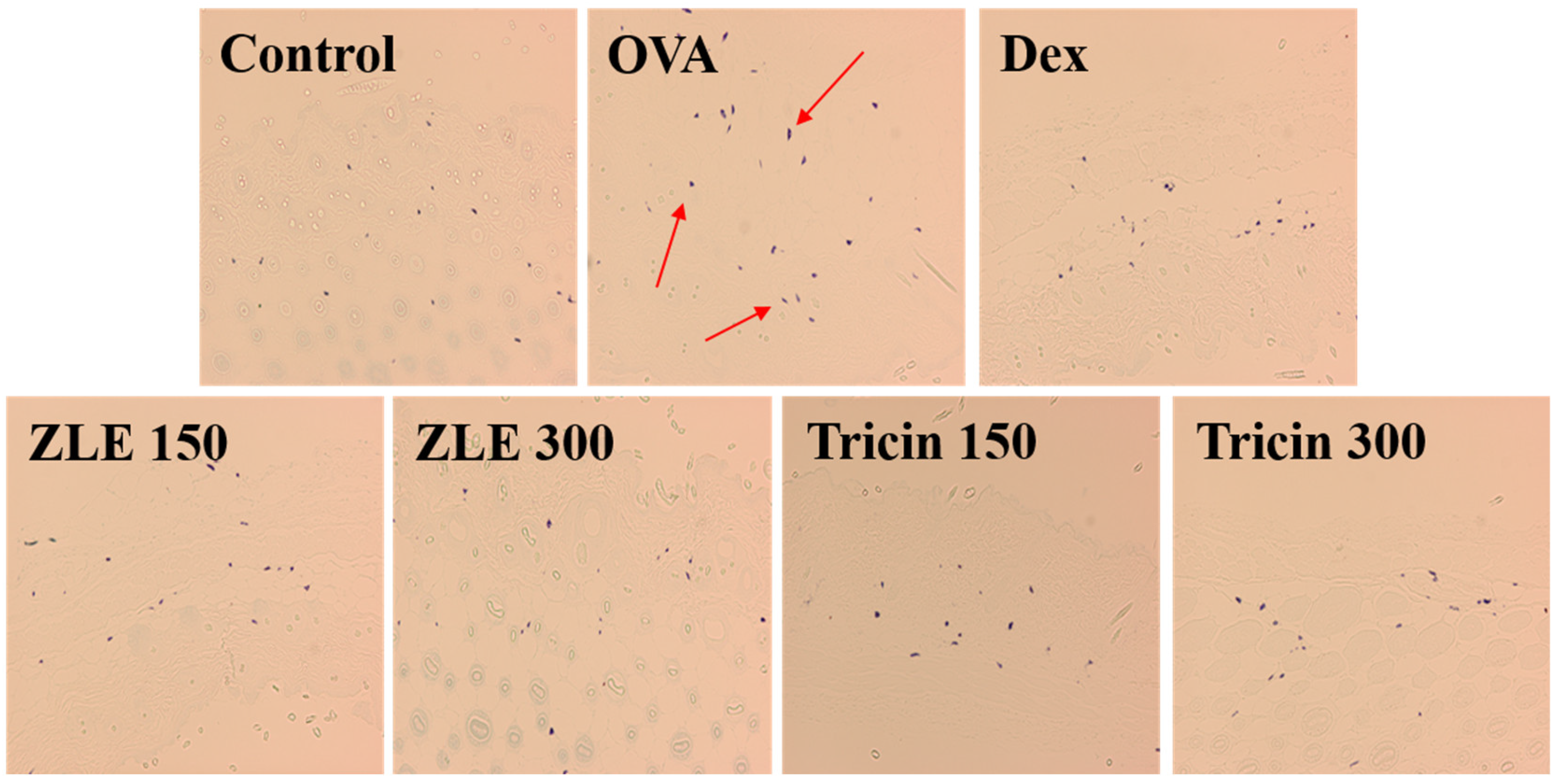 Molecules 27 03978 g006 550