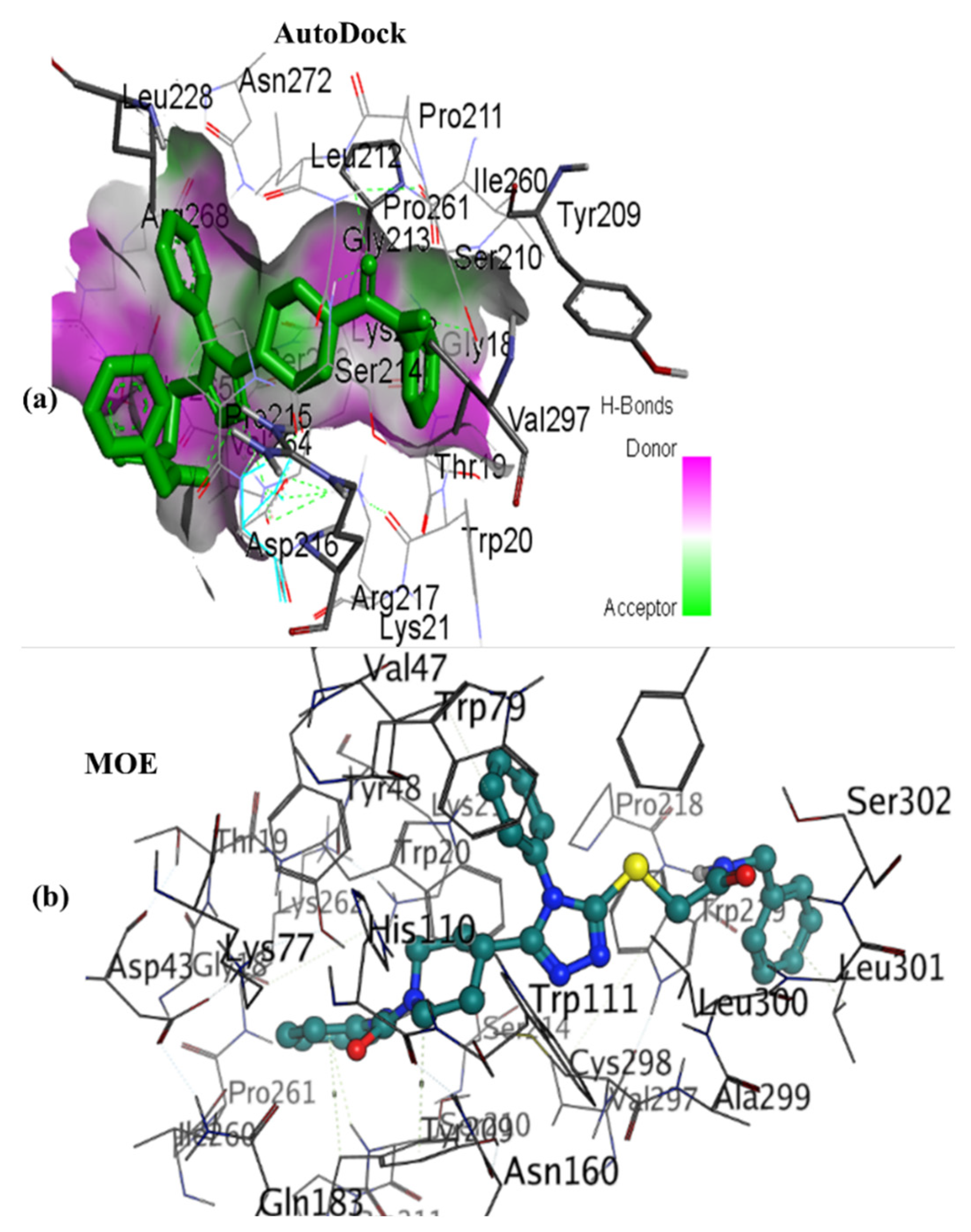 Molecules 27 03981 g004