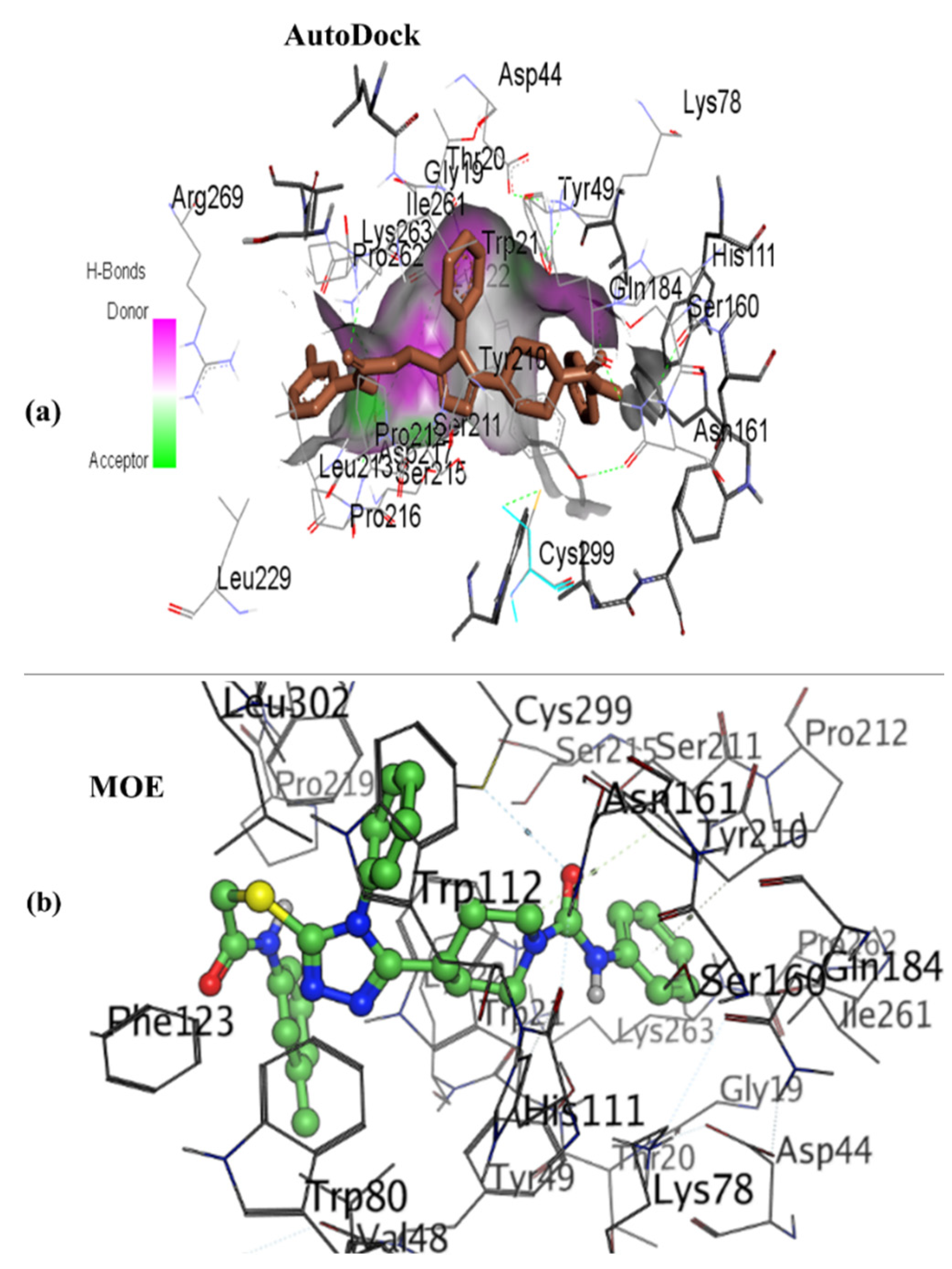 Molecules 27 03981 g005
