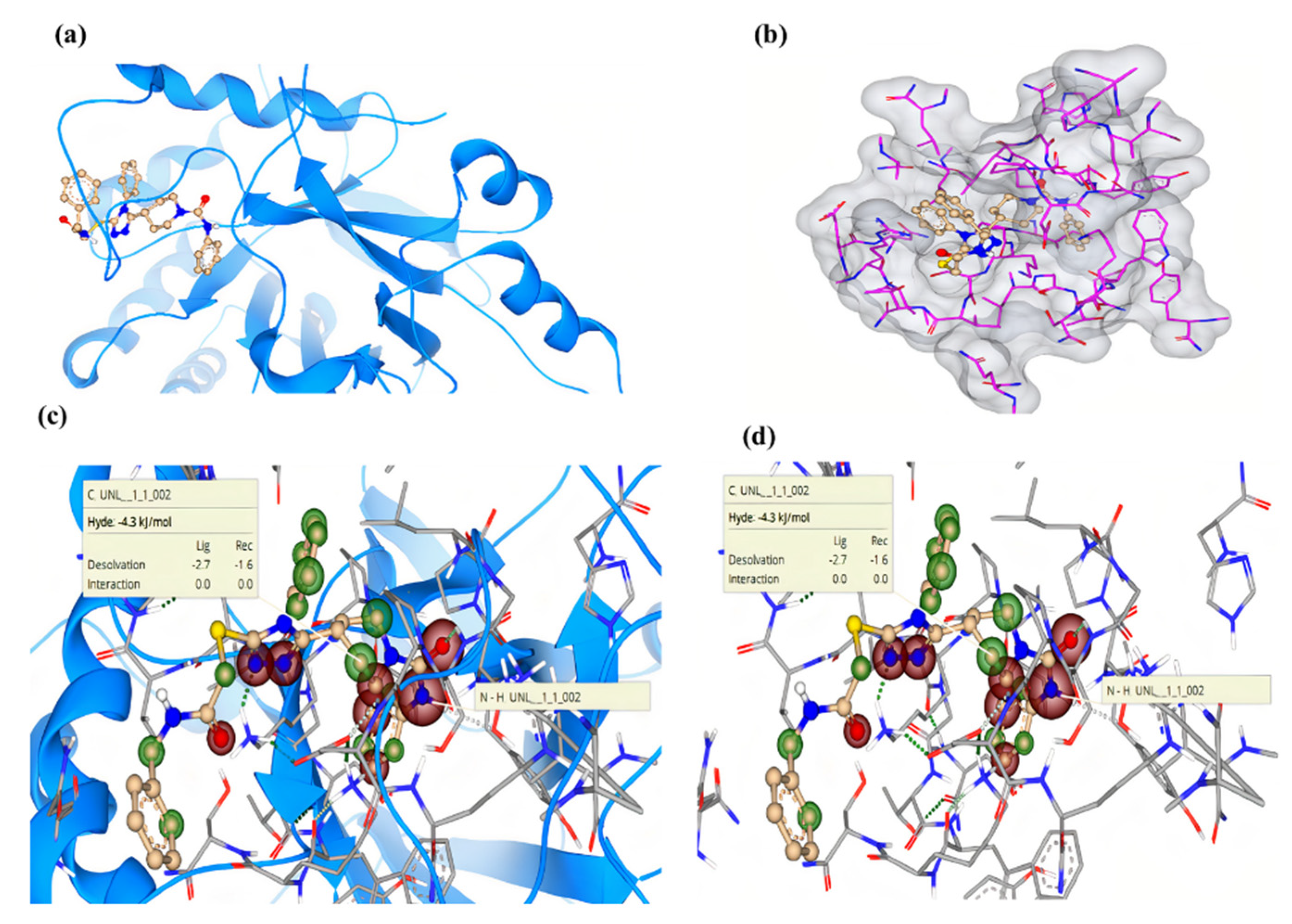 Molecules 27 03981 g006