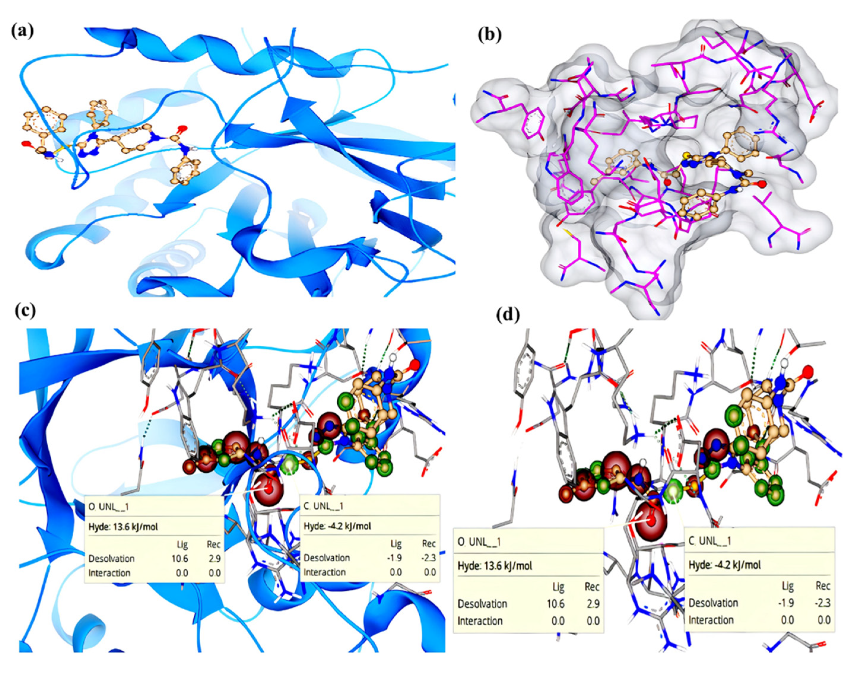 Molecules 27 03981 g007