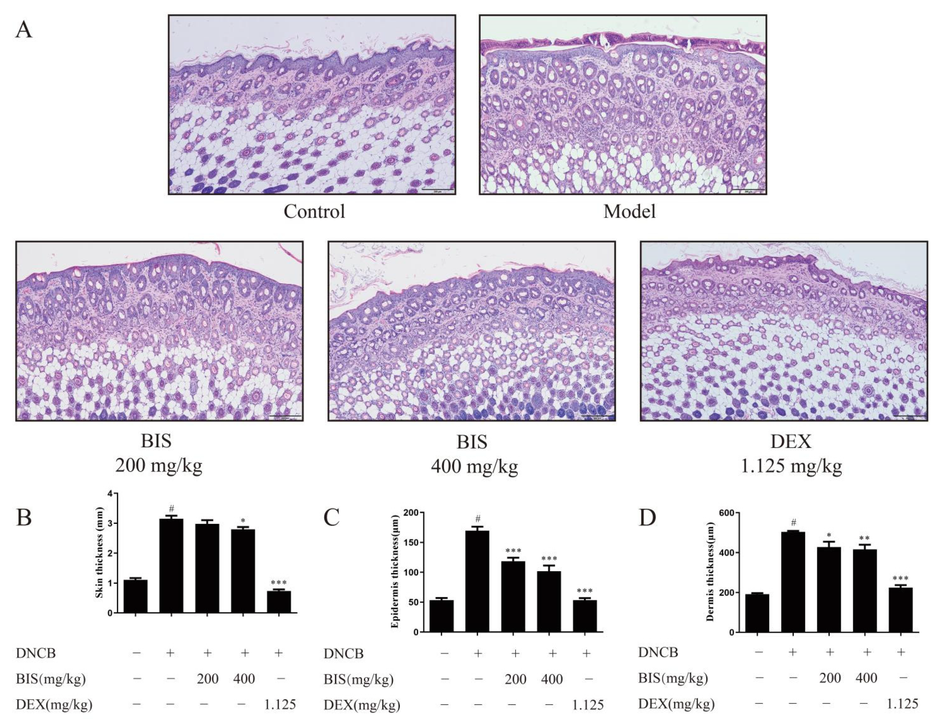 Molecules 27 03985 g002 550