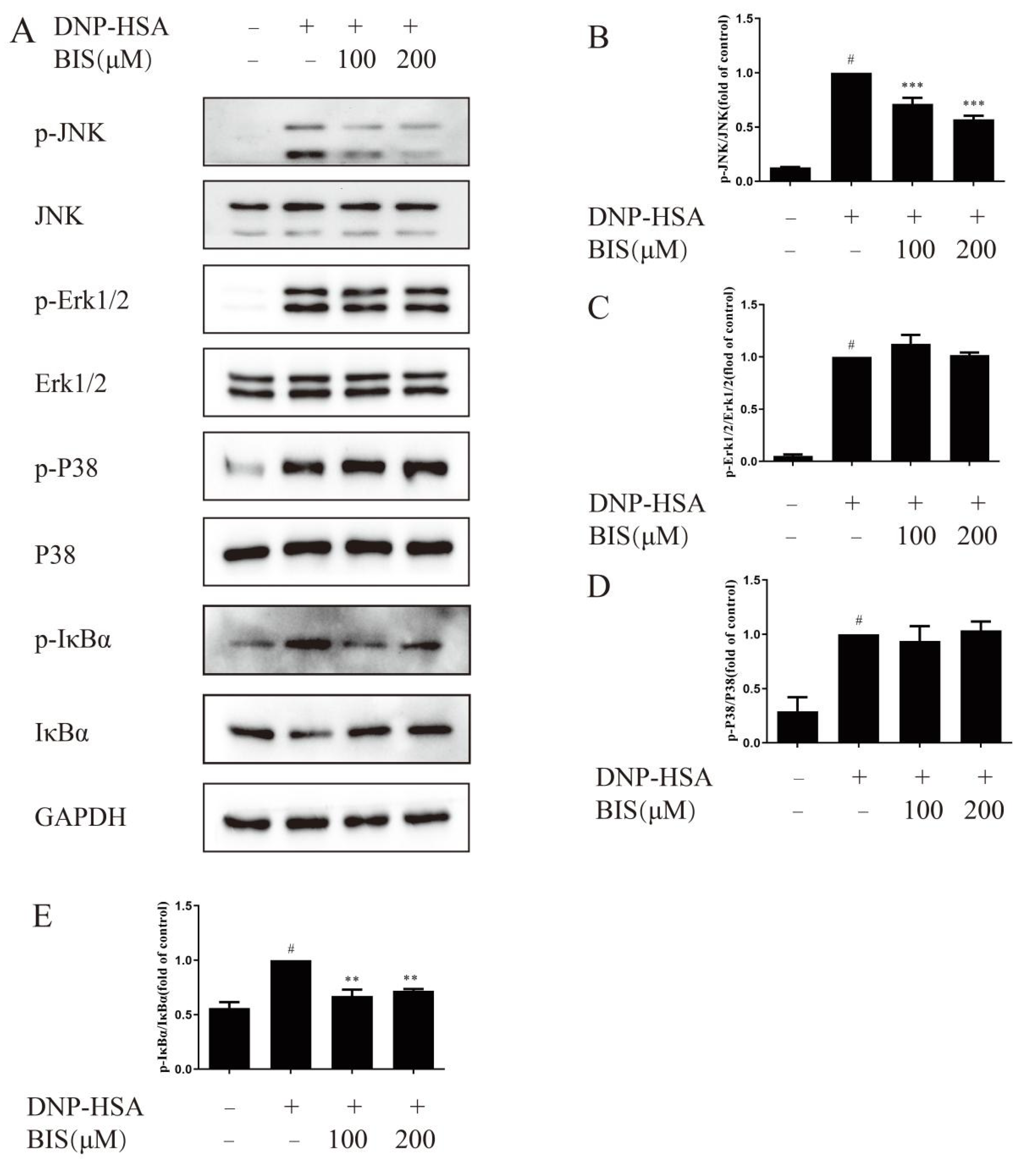 Molecules 27 03985 g007 550