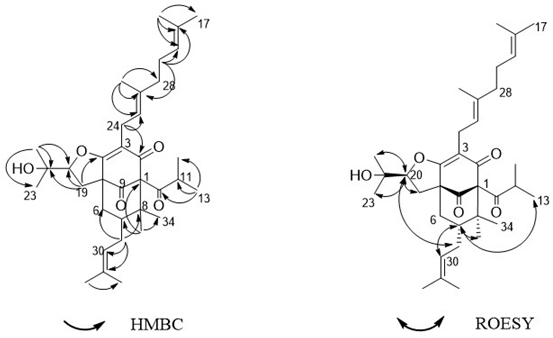 Molecules 27 03986 g005