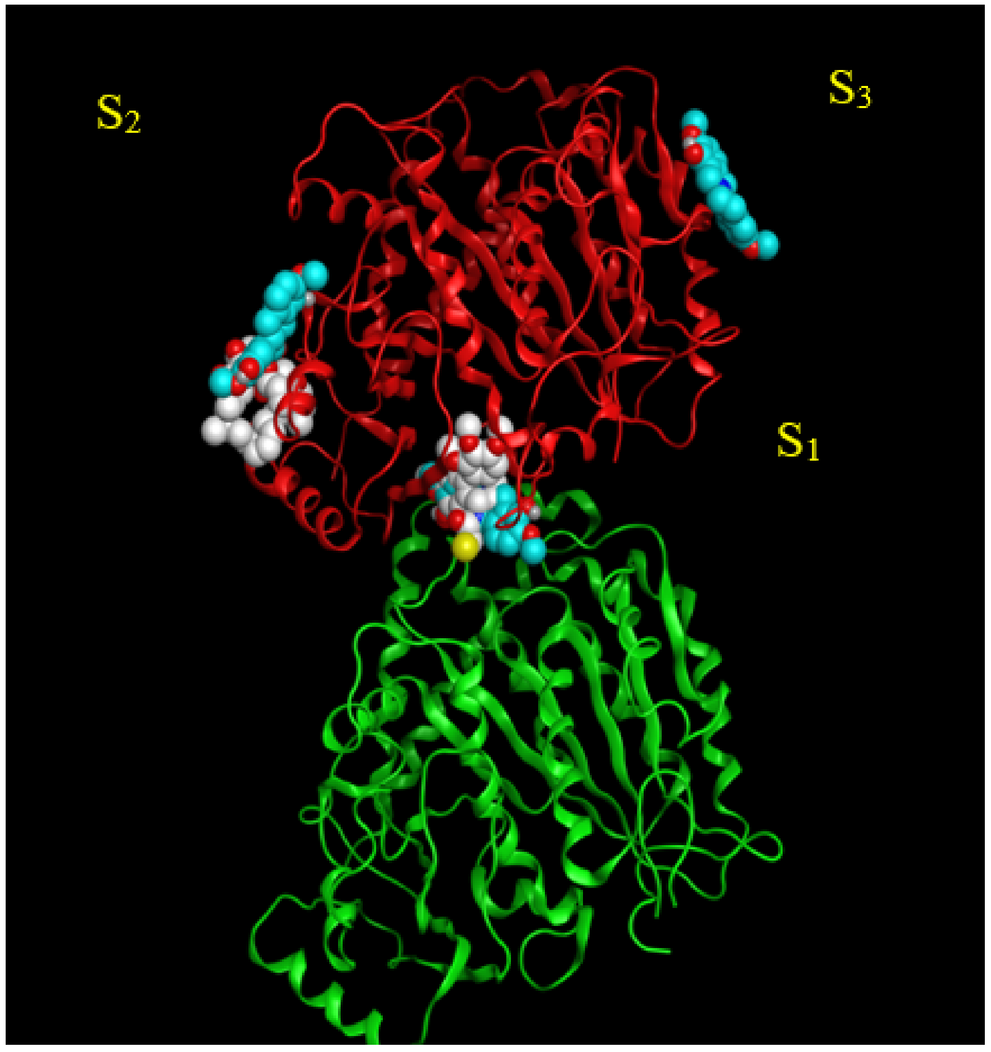 Molecules 27 03991 g002