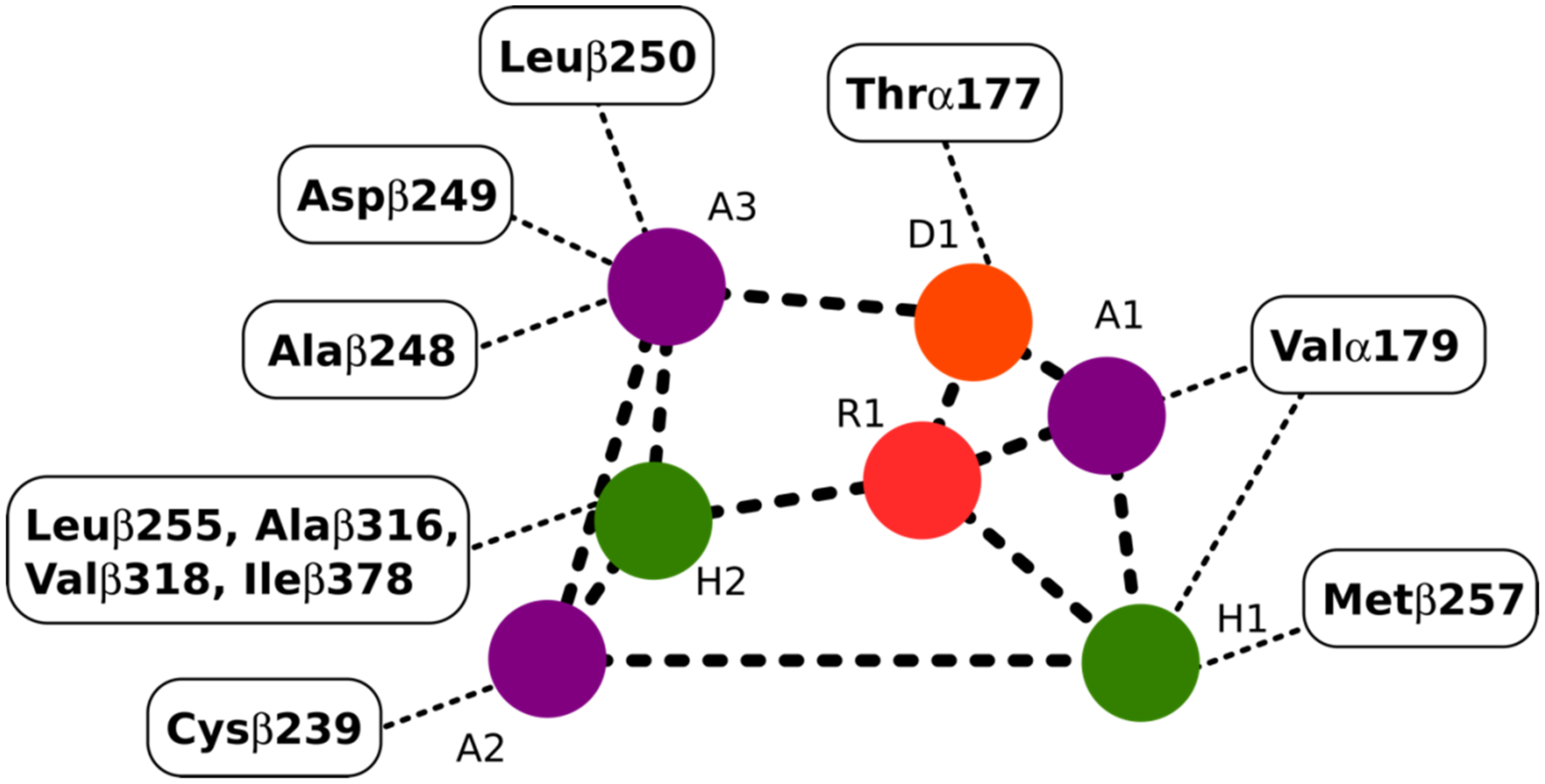 Molecules 27 03991 g003