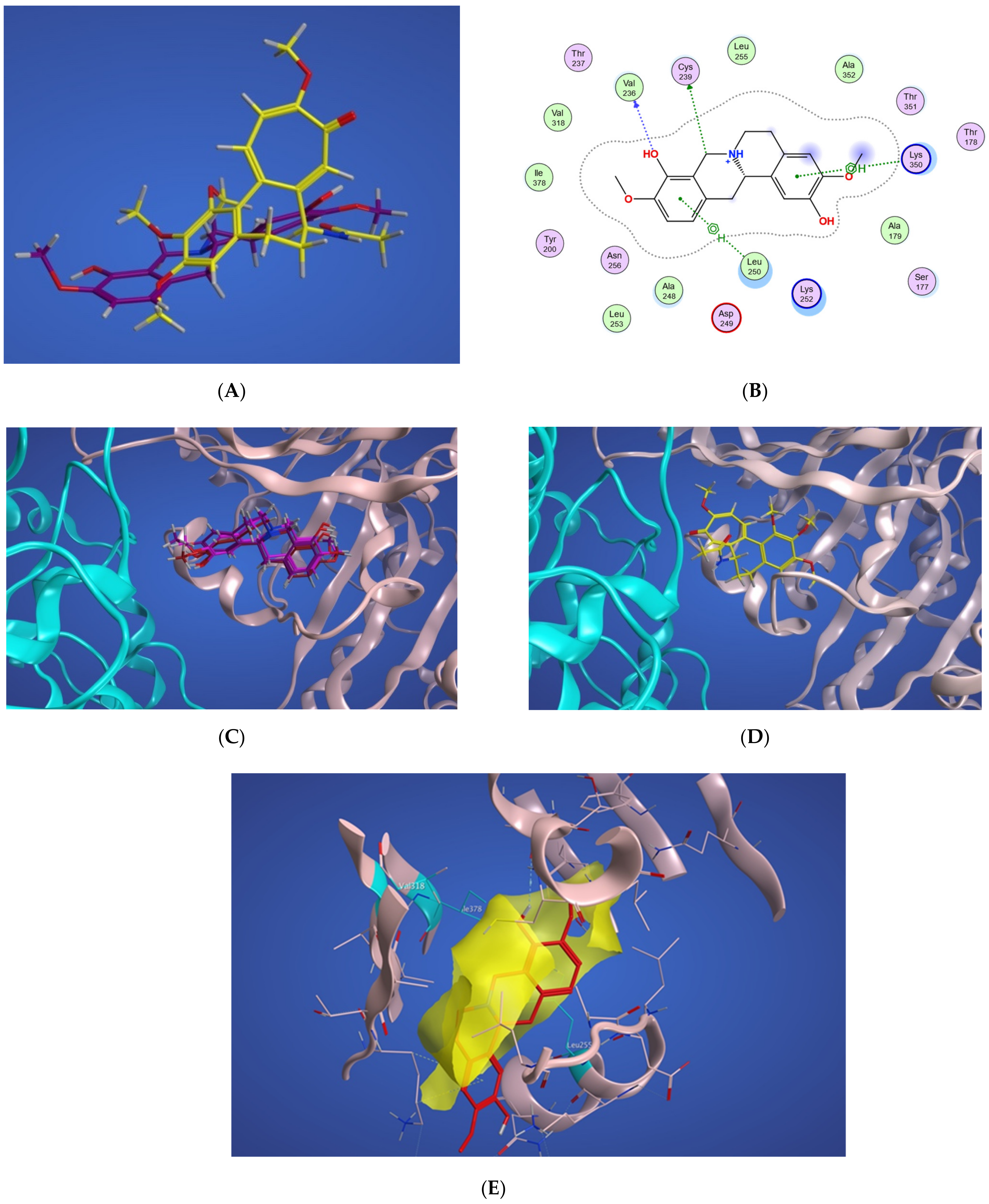 Molecules 27 03991 g009