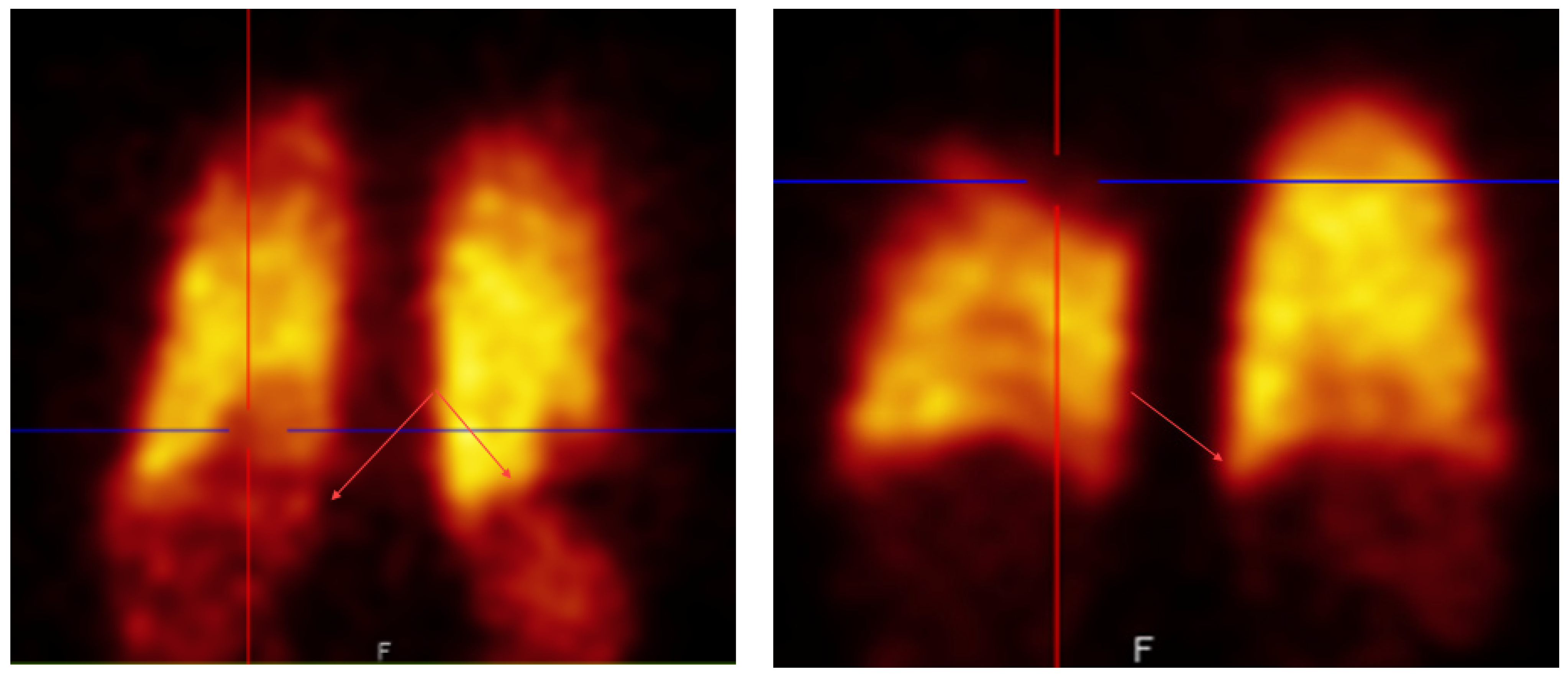 Molecules 27 03997 g001 550