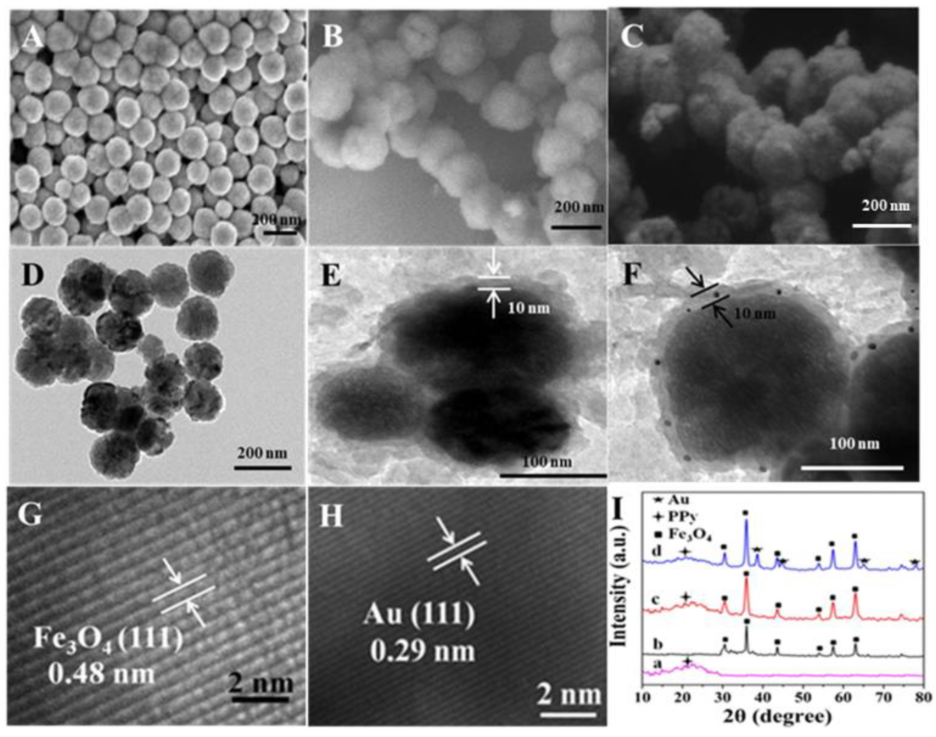 Molecules 27 04003 g001