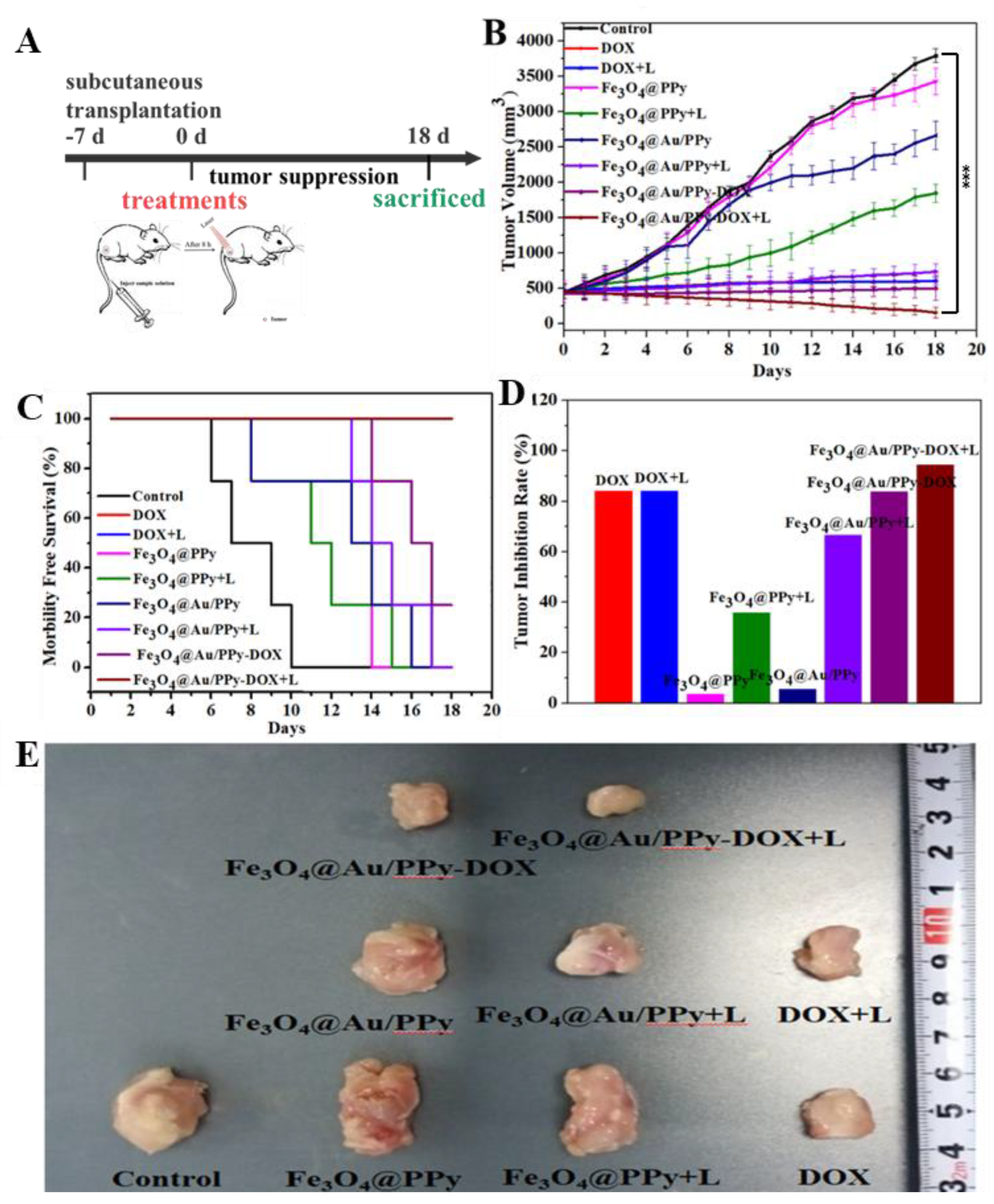 Molecules 27 04003 g007