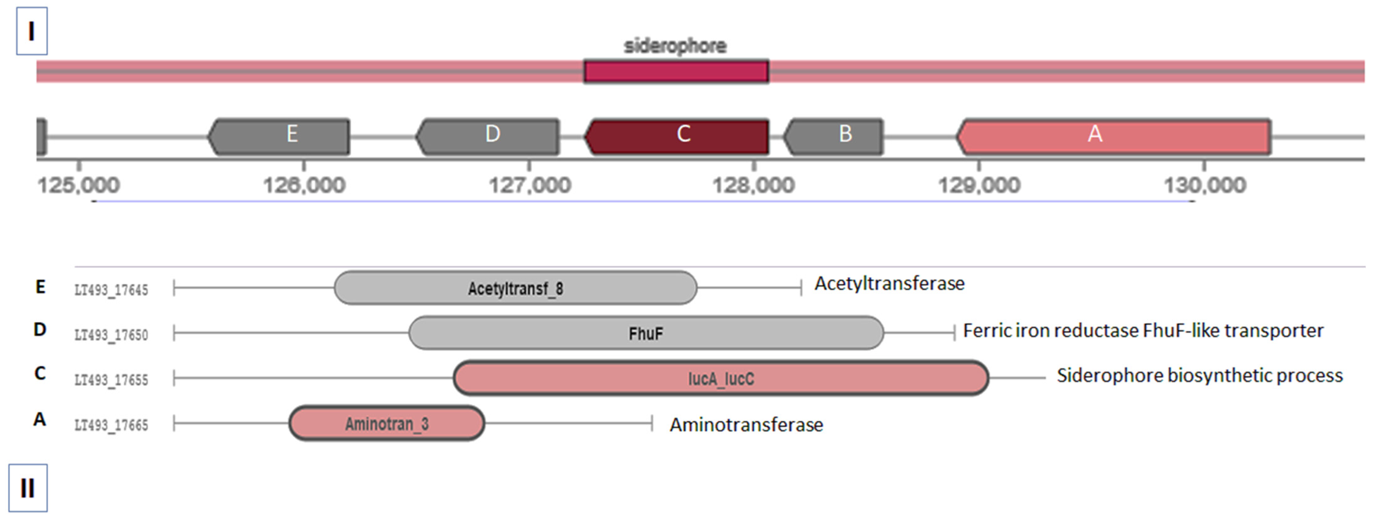 Molecules 27 04010 g002