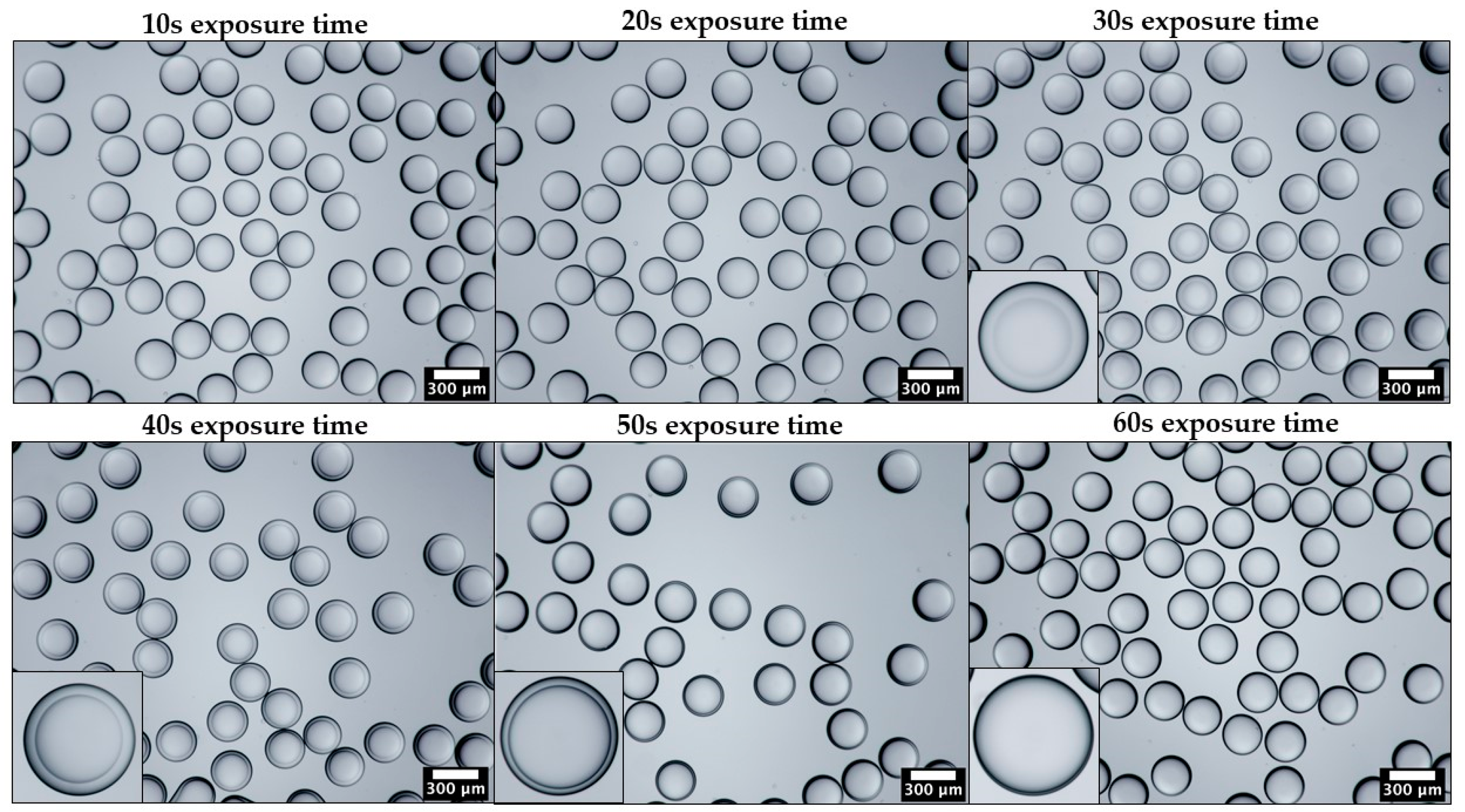 Molecules 27 04013 g003 Molecules 27 04013 g003